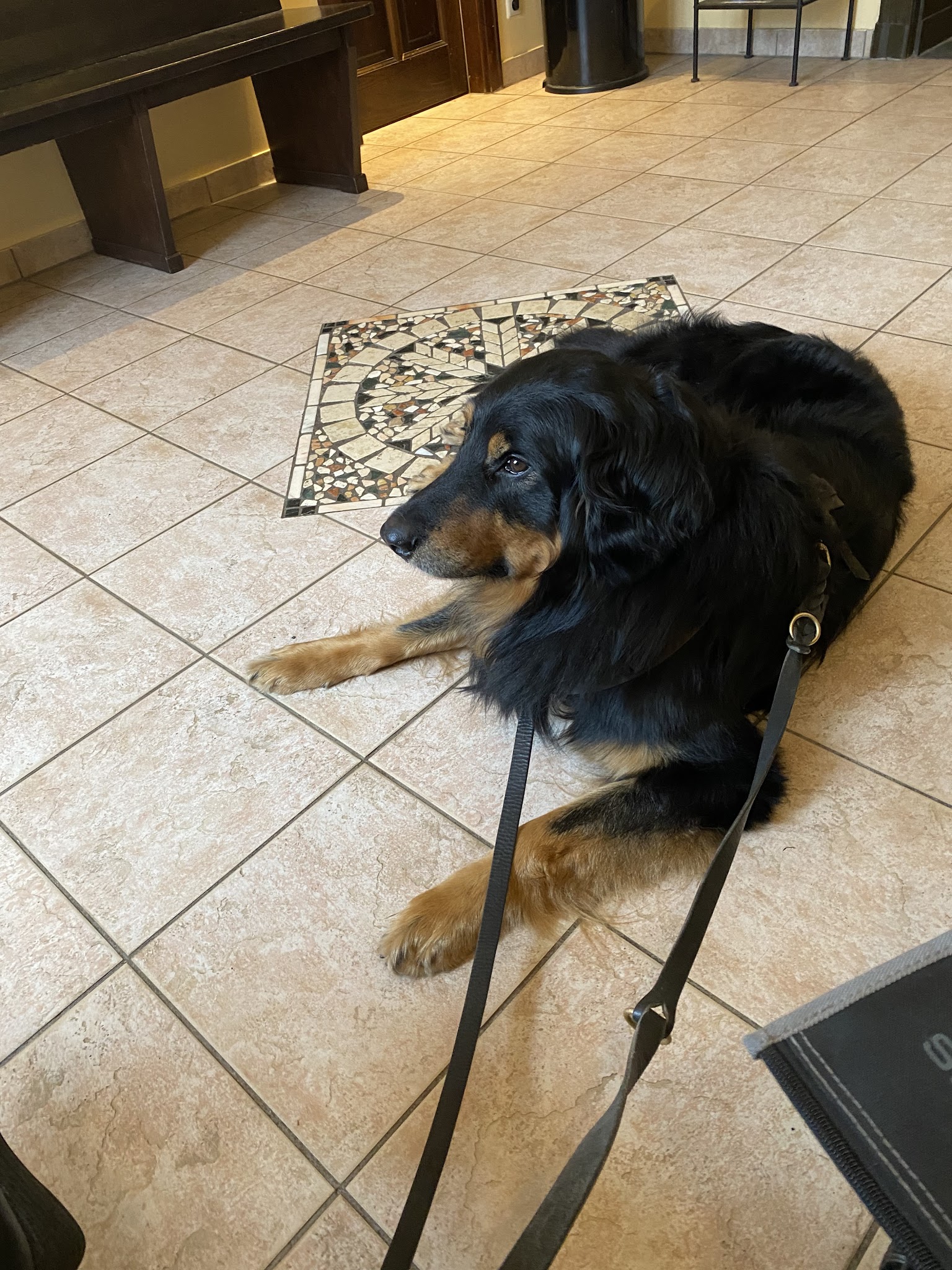 Augen-Tierarztpraxis Dr. Allgoewer