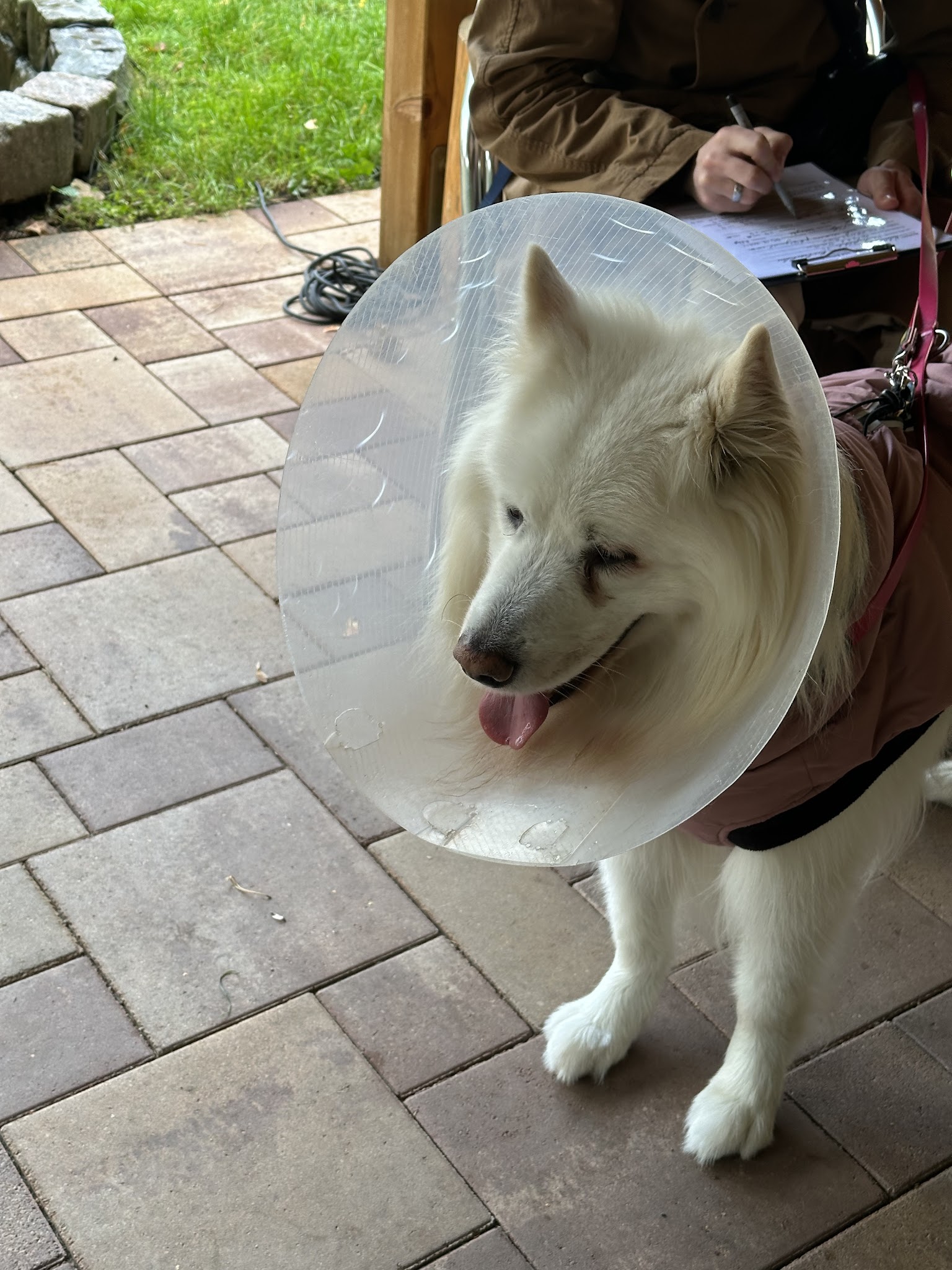 Augen-Tierarztpraxis Dr. Allgoewer