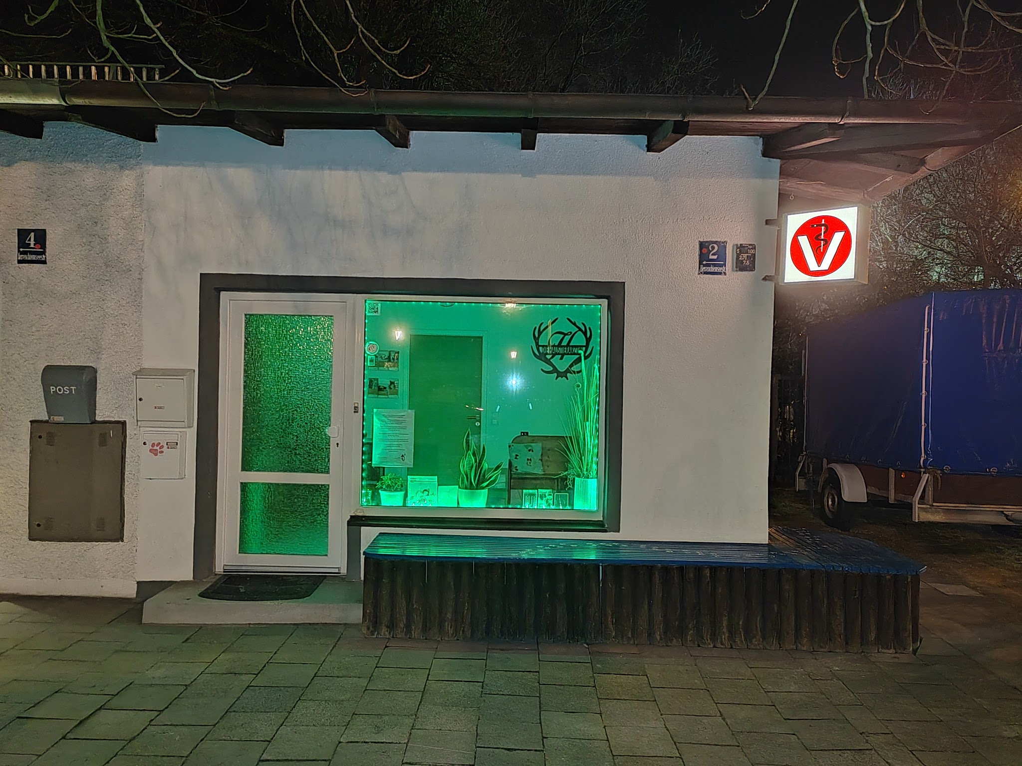 Die Haustierärztin Alexandra Häckel