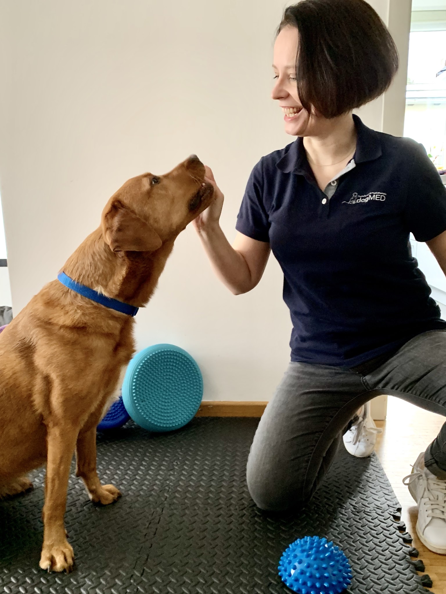 dogMED Tierheilpraxis & Physiotherapie & Ernährungsberatung