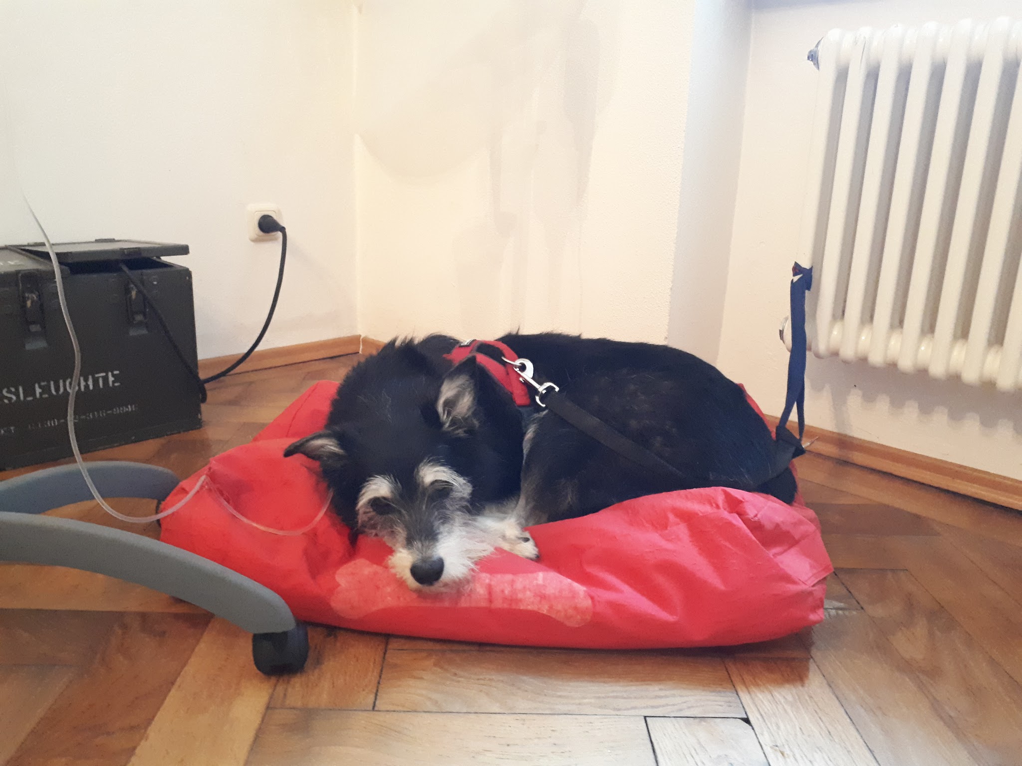 Dr. Koenig & Dr. Aumann