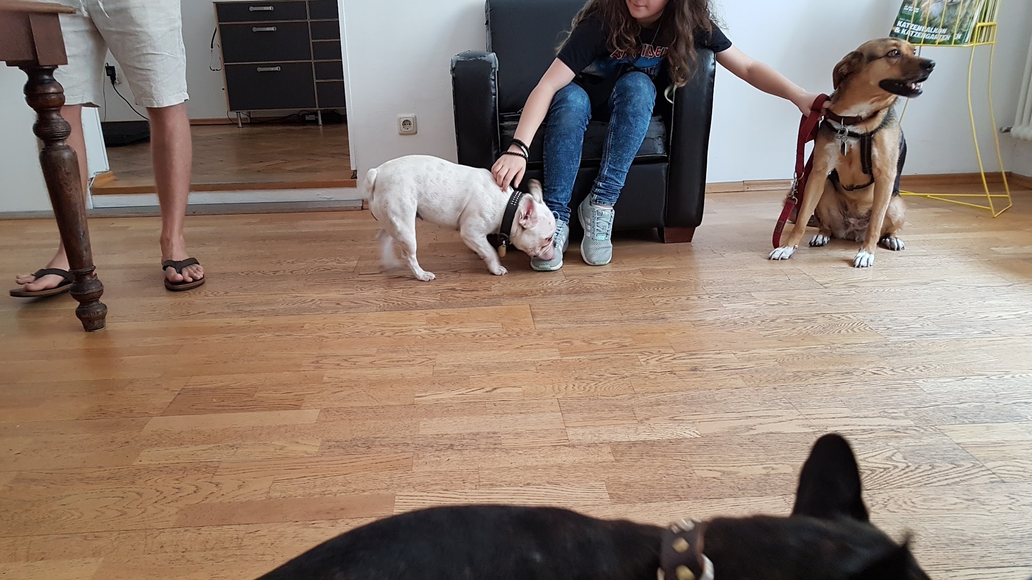 Dr. Koenig & Dr. Aumann