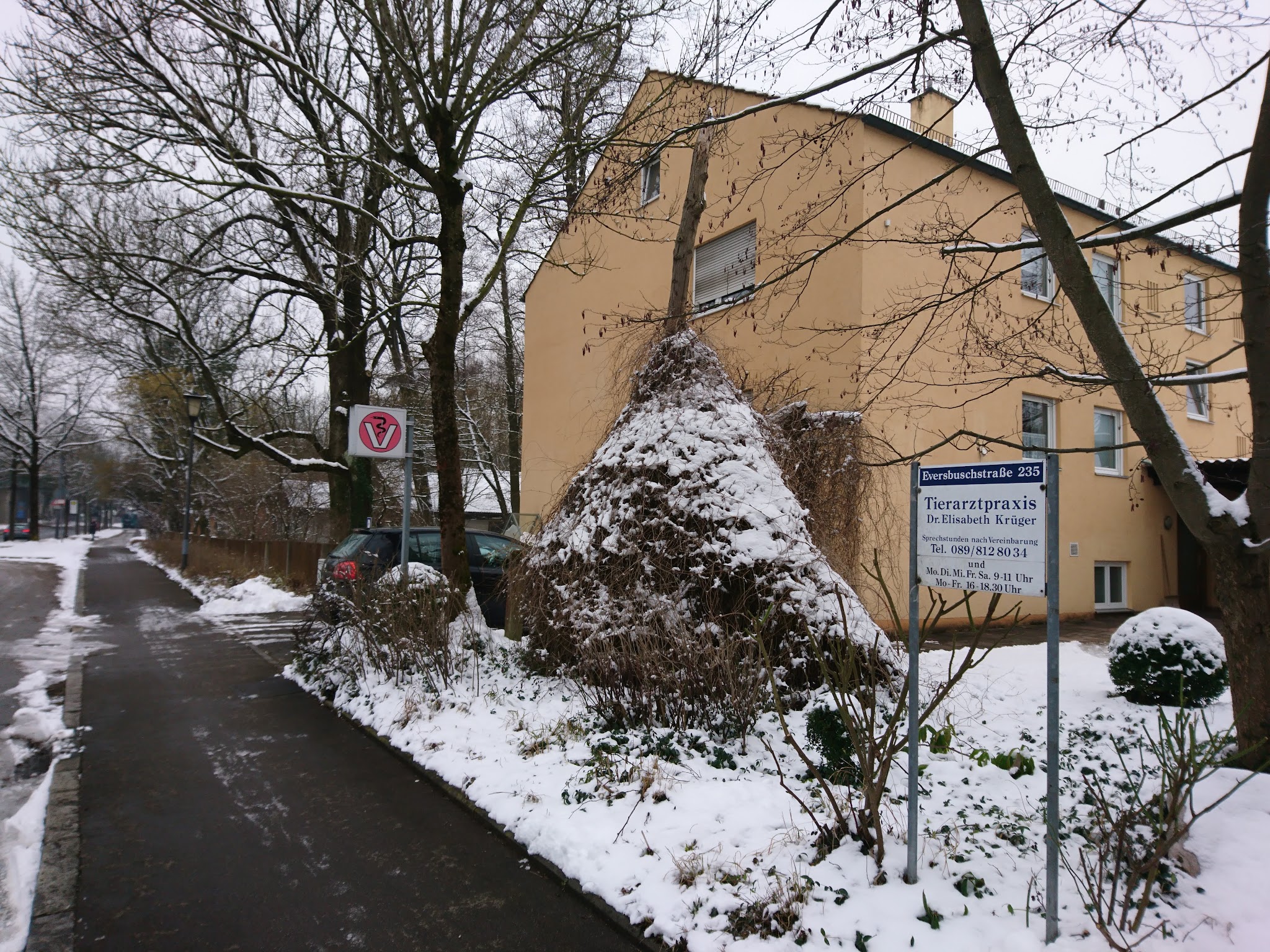 Dr.med.vet. Elisabeth Krüger Tierärztin