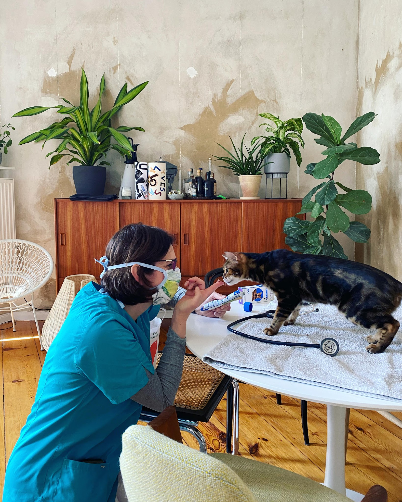 felmo Mobiler Tierarzt München