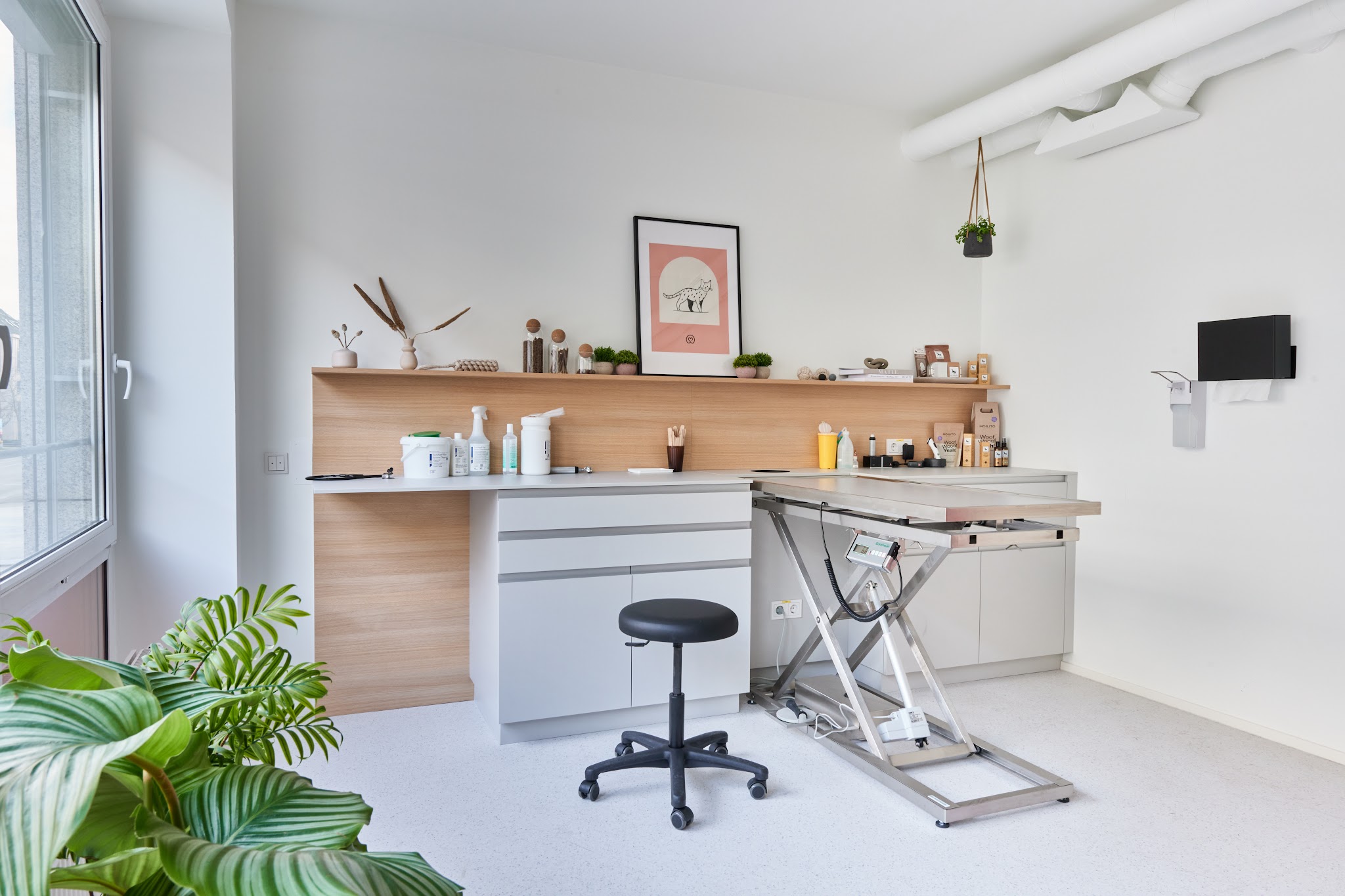 filu Tierarztpraxis Theresienwiese - Allgemein- und Notfallmedizin