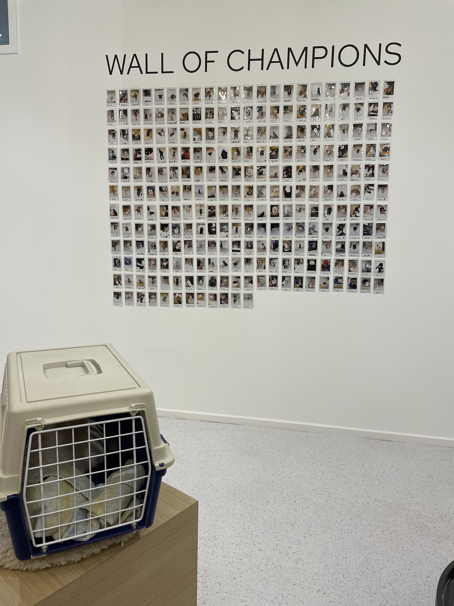 filu Tierarztpraxis Theresienwiese - Allgemein- und Notfallmedizin