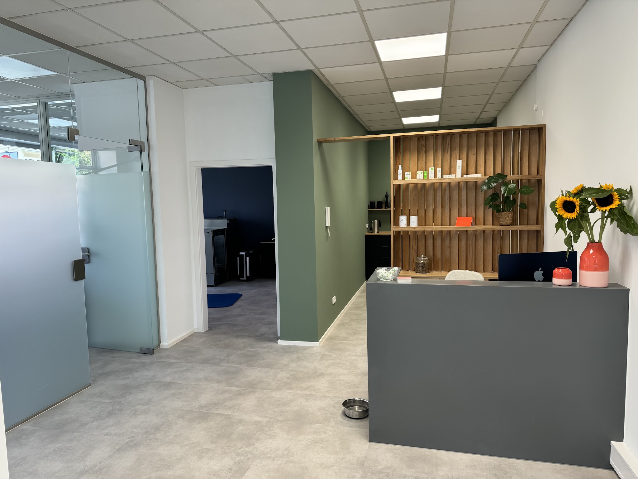 Flizz Tierarztpraxis