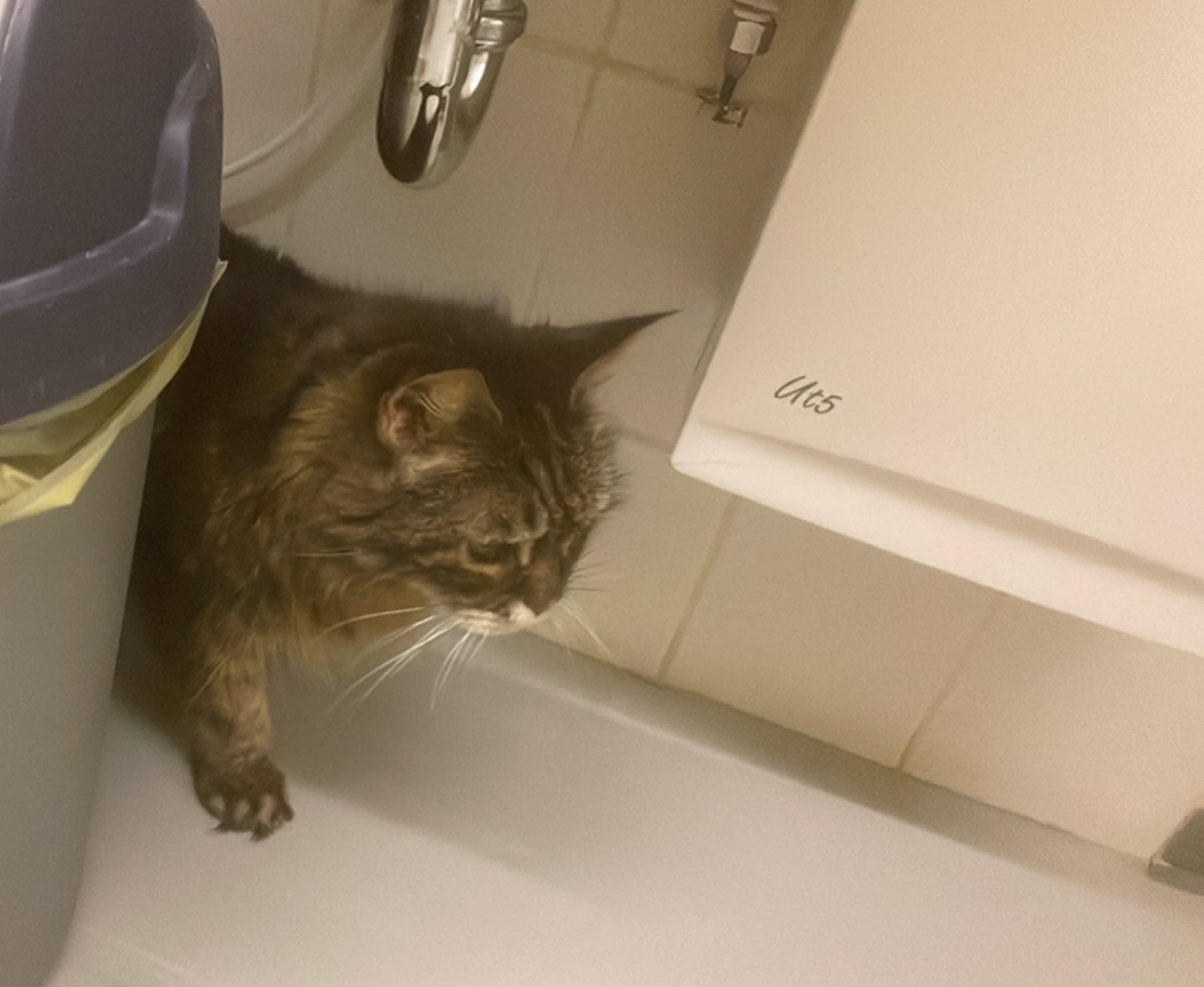 Janowski-Gastl Stephanie Dr.med.vet. Tierarzt