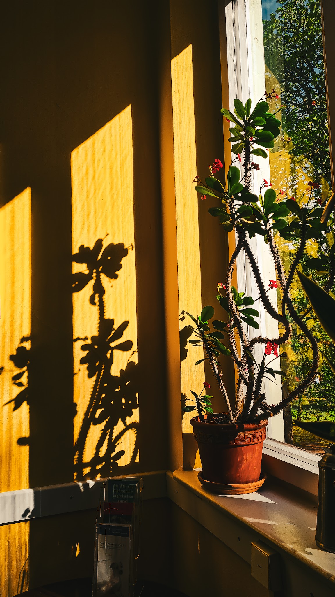 Janowski-Gastl Stephanie Dr.med.vet. Tierarzt