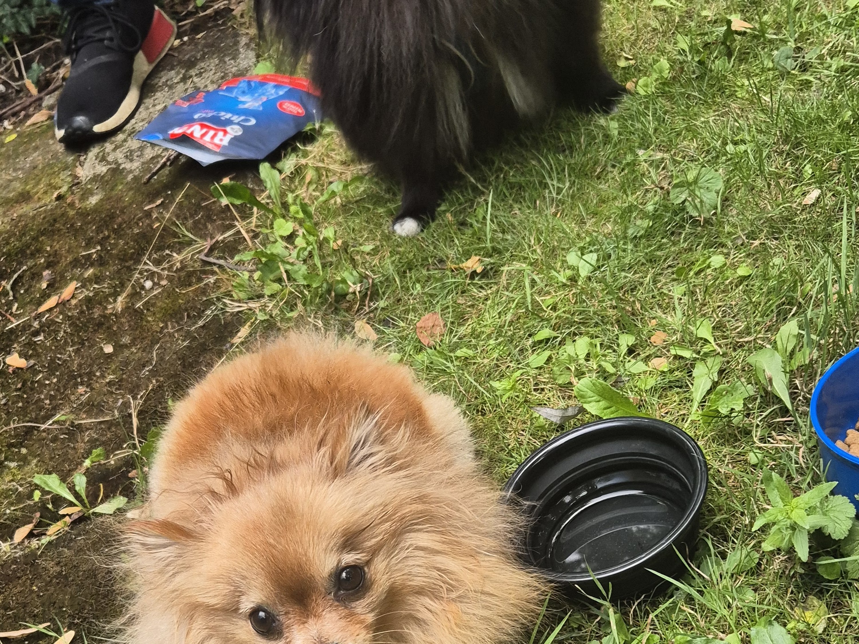 Kleintierklinik der LMU München