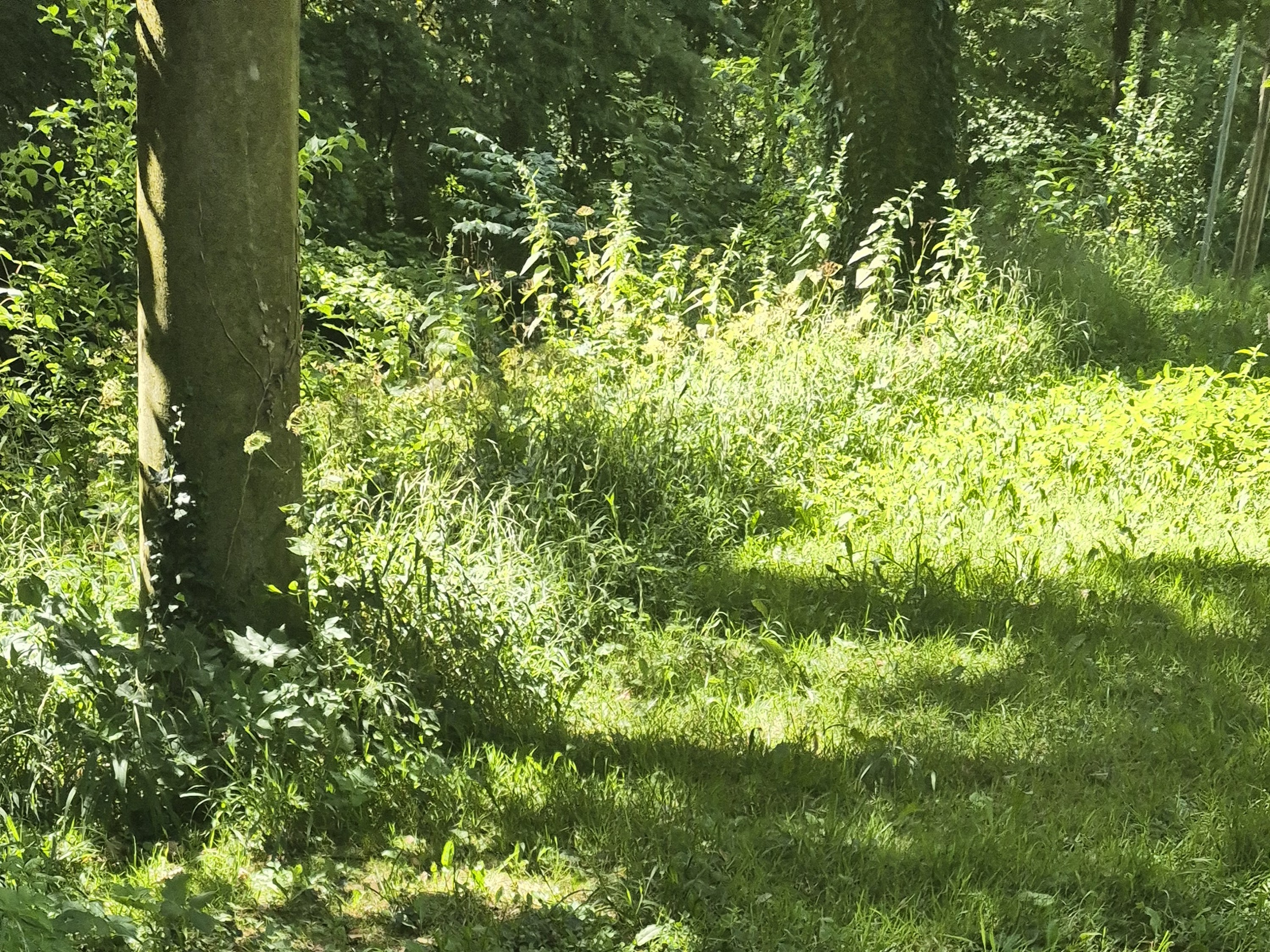 Kleintierklinik der LMU München