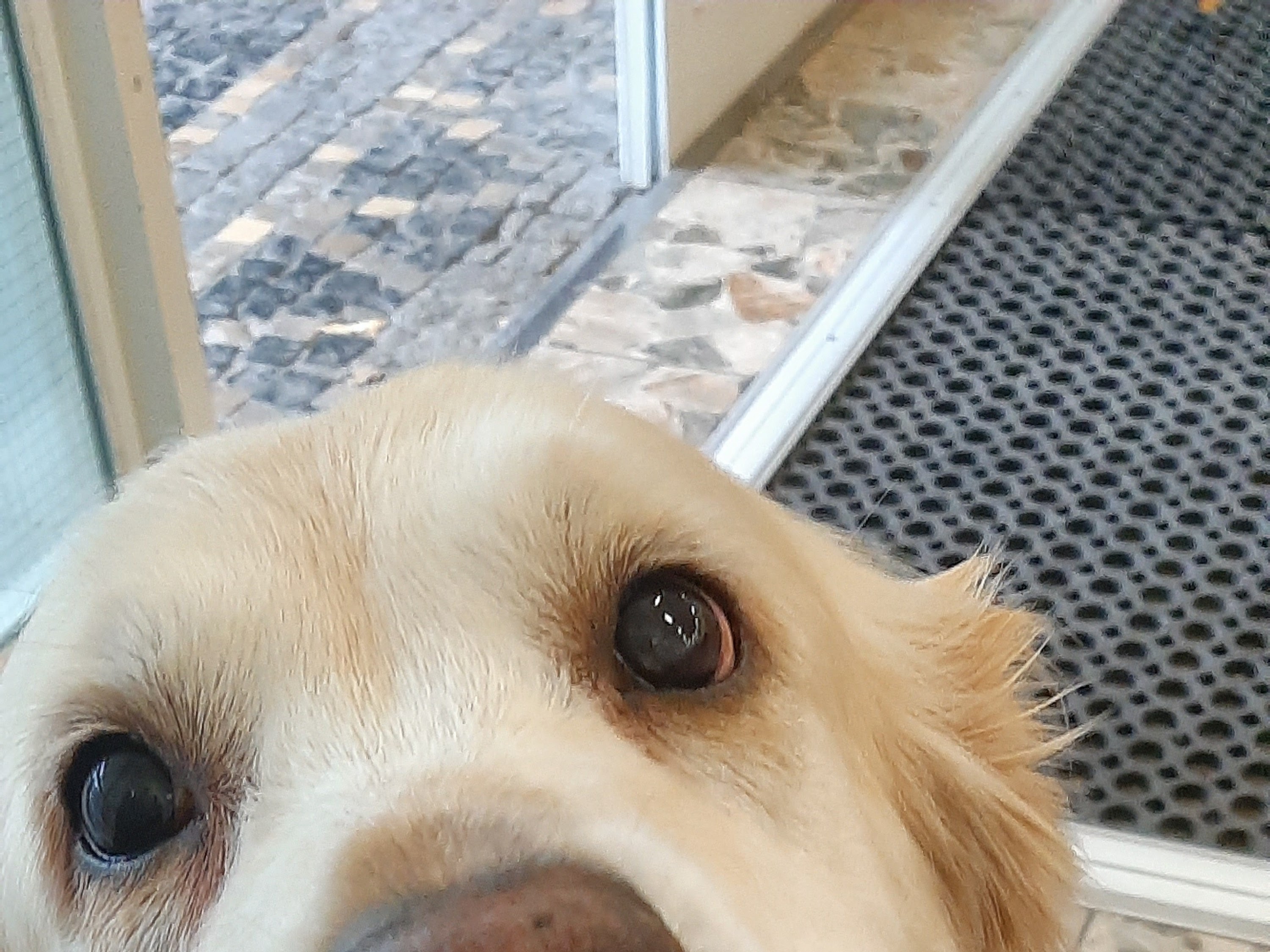 Kleintierklinik der LMU München