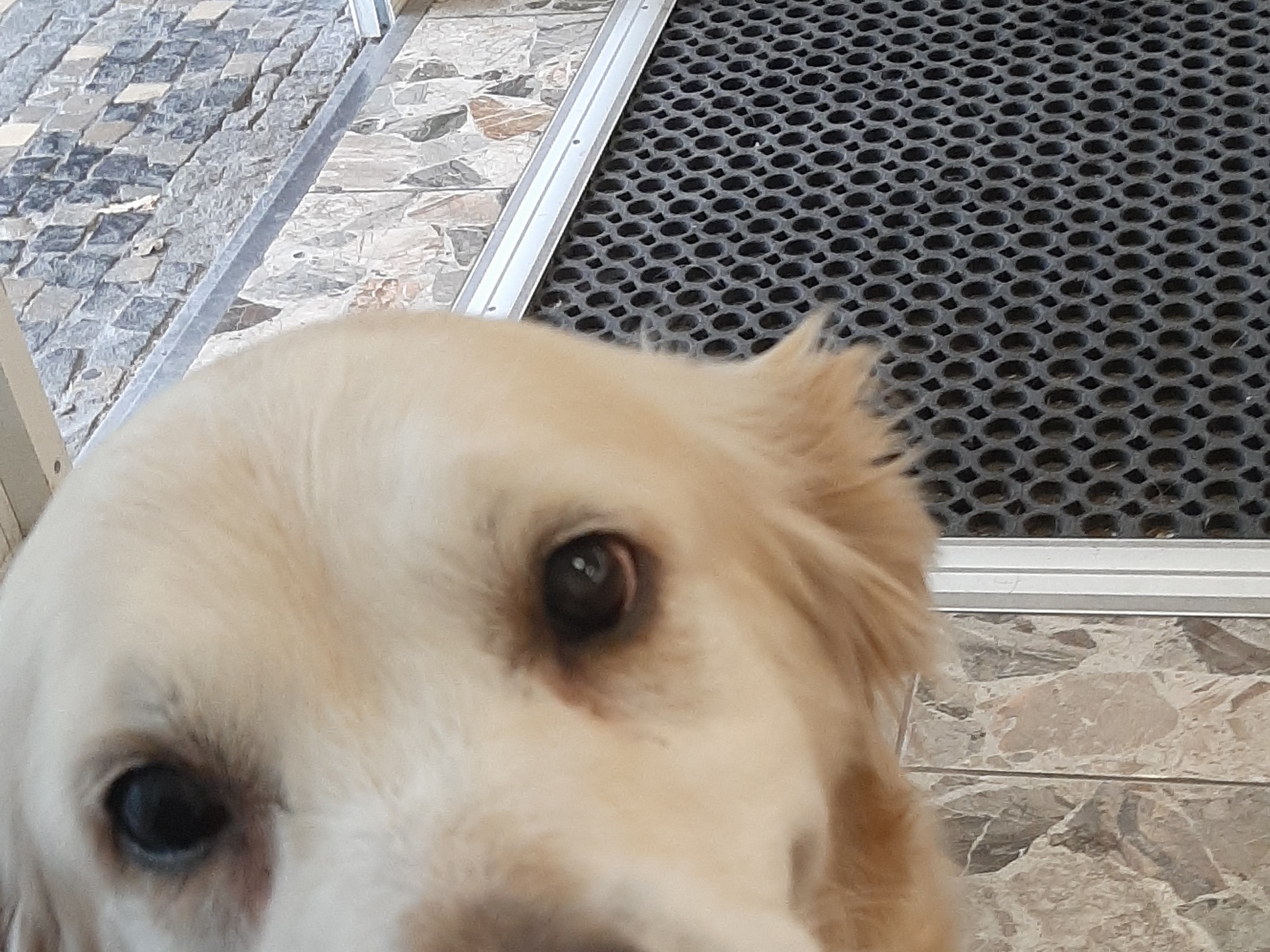 Kleintierklinik der LMU München