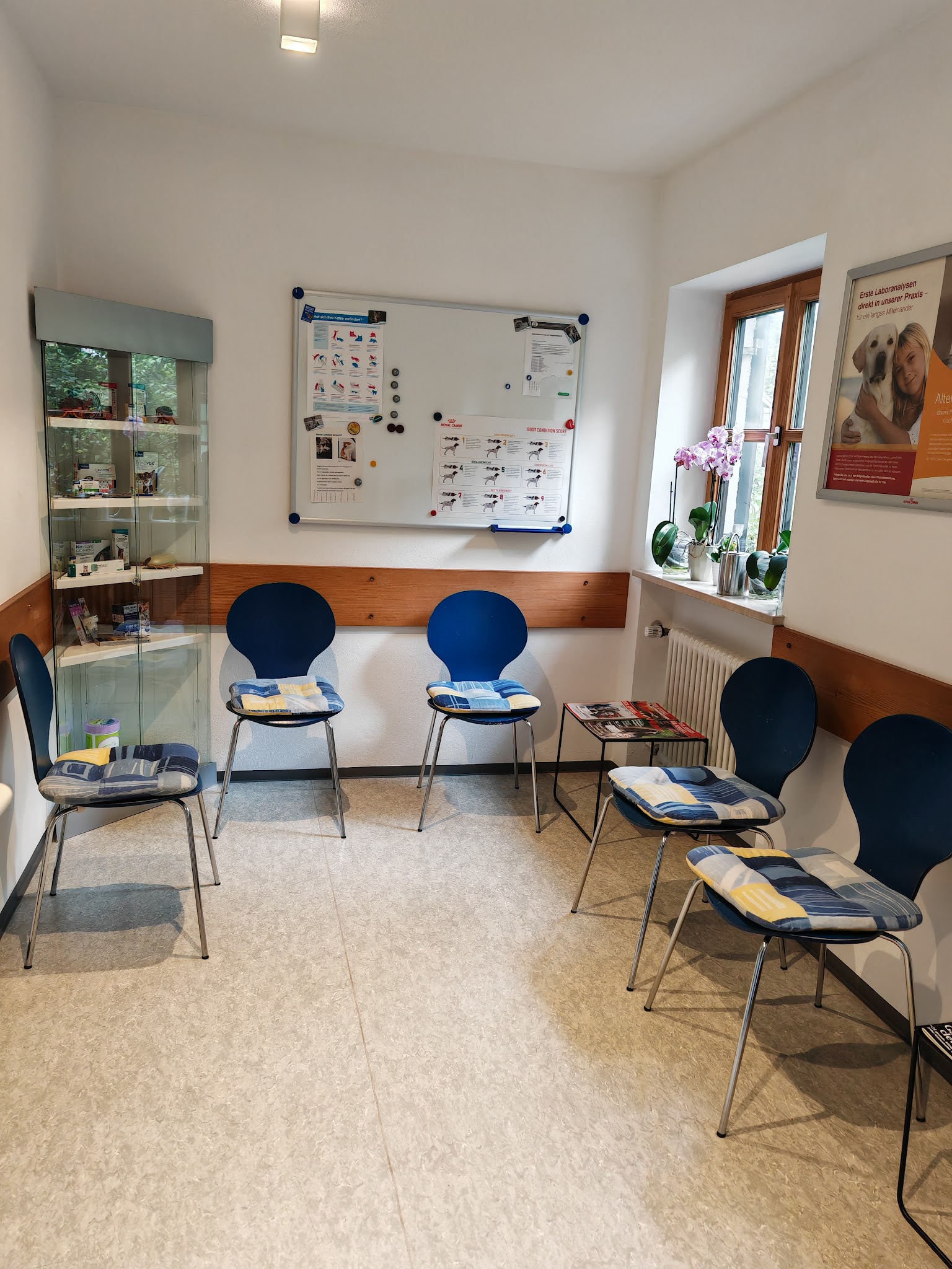 Kleintierpraxis | Dr. Jutta Herrle | München