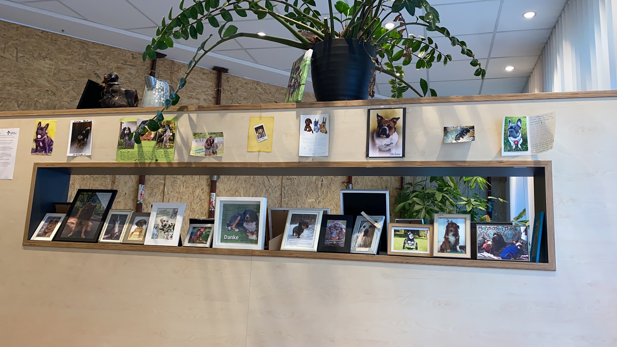 Kleintierspezialisten