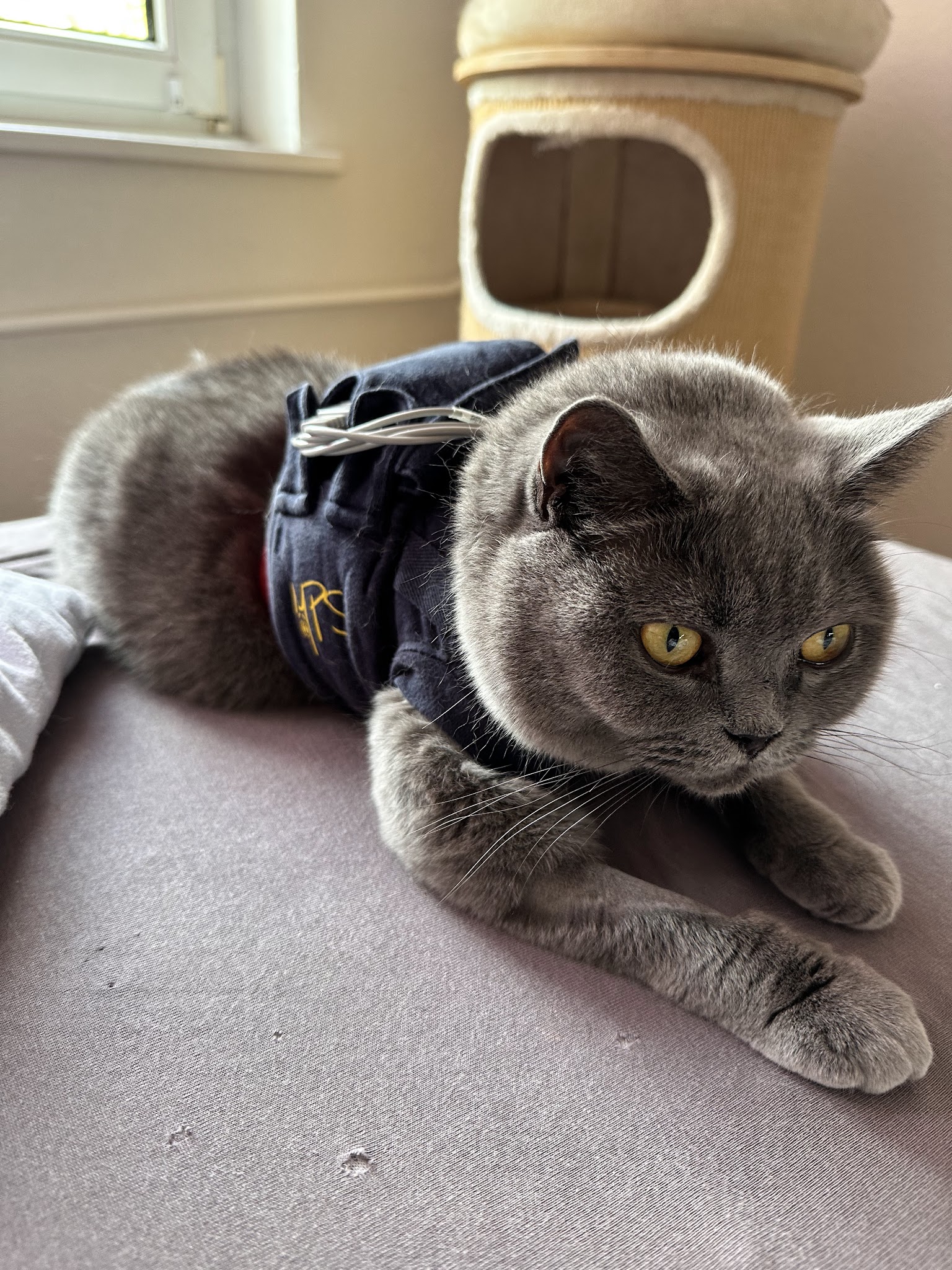 Kleintierspezialisten