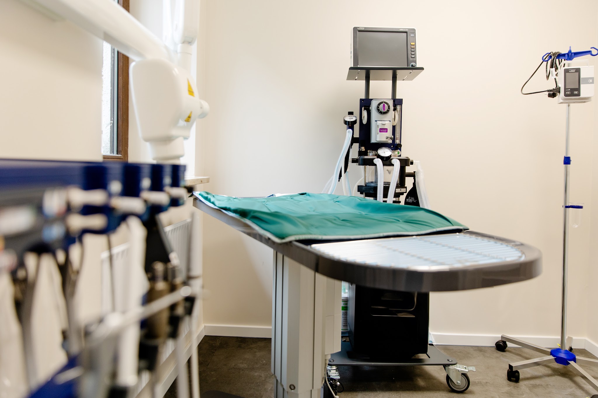 Rex Tierarztpraxis München-Schwabing