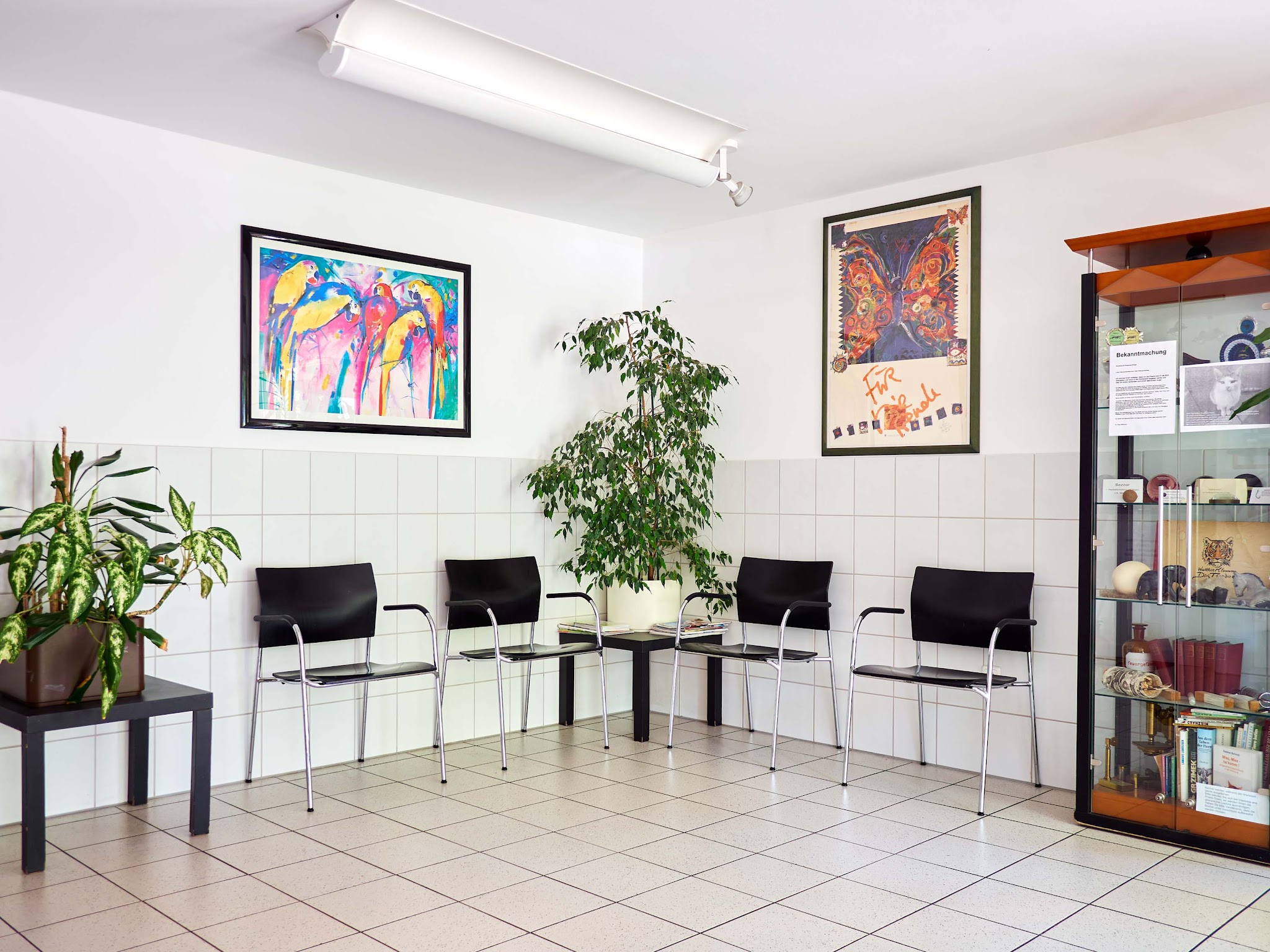 Tierarzt München-Laim: Kleintierpraxis Laimer Tierliebe von Marjolaine Godin