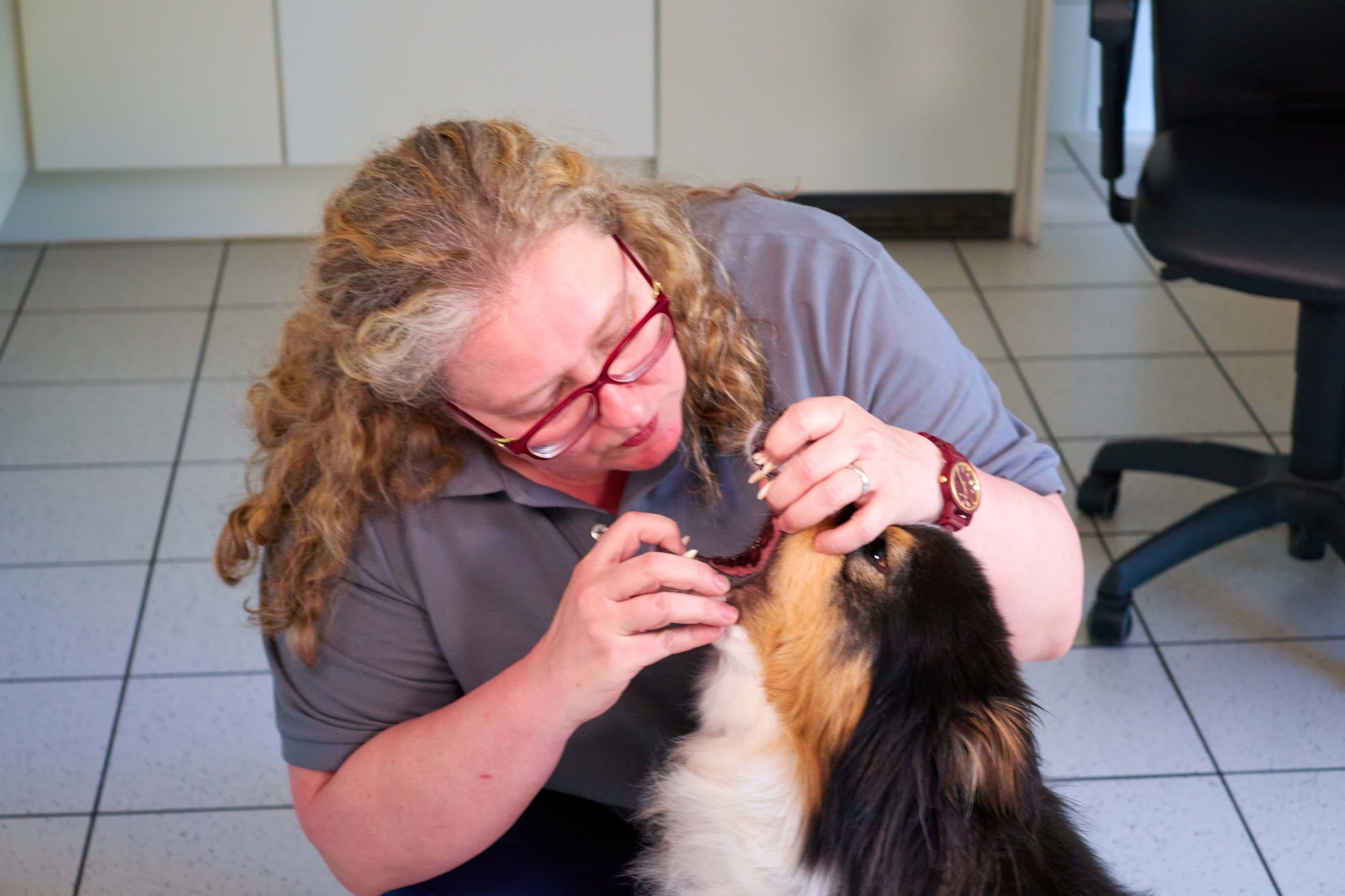 Tierarzt München-Laim: Kleintierpraxis Laimer Tierliebe von Marjolaine Godin