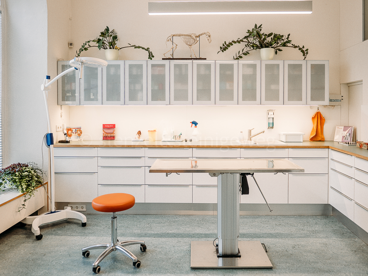 Tierarzt Stolle-Malorny & Vöster Berlin-Wilmersdorf