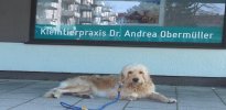 Tierärztin | Kleintierpraxis Dr. Andrea Obermüller | München