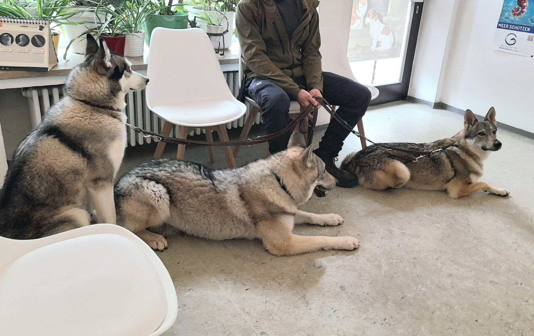 Tierarztpraxis Dr. Aumüller