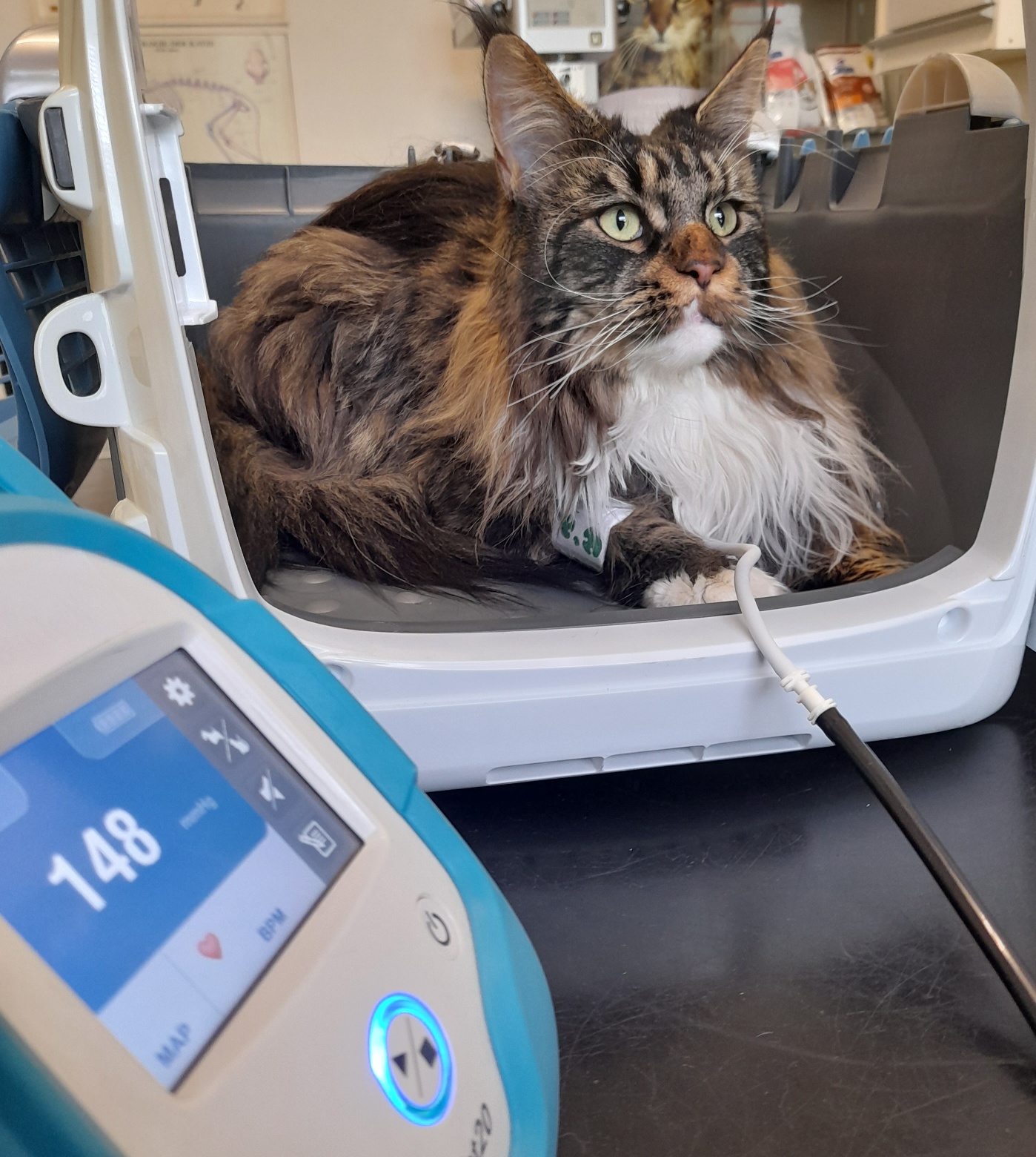 Tierarztpraxis Dr. Aumüller