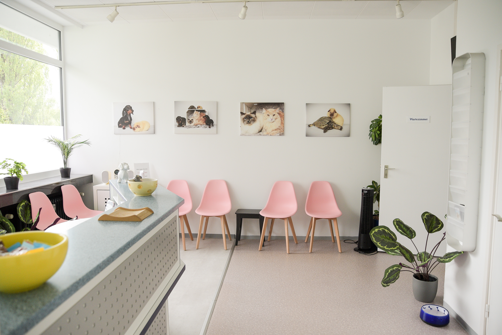 Tierarztpraxis Dr. Dr. Weeger