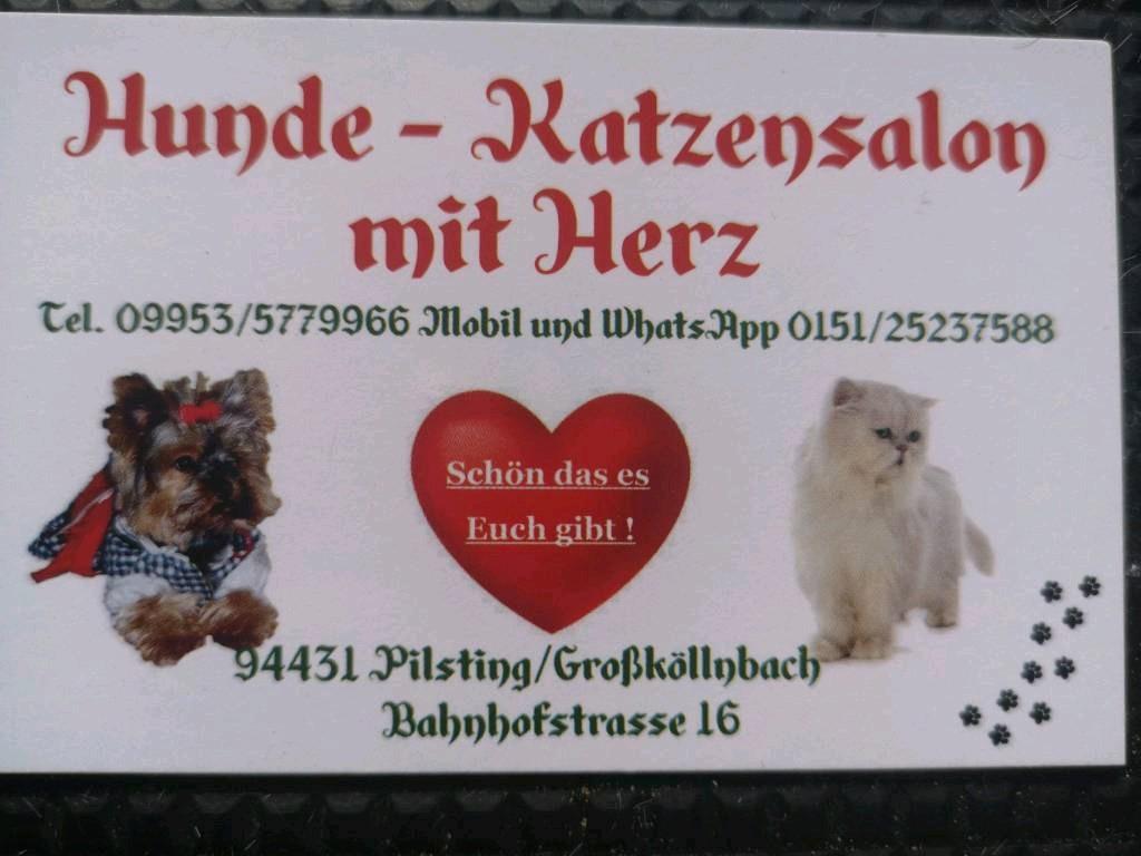 Tierarztpraxis Dr. Eichelberger Michael