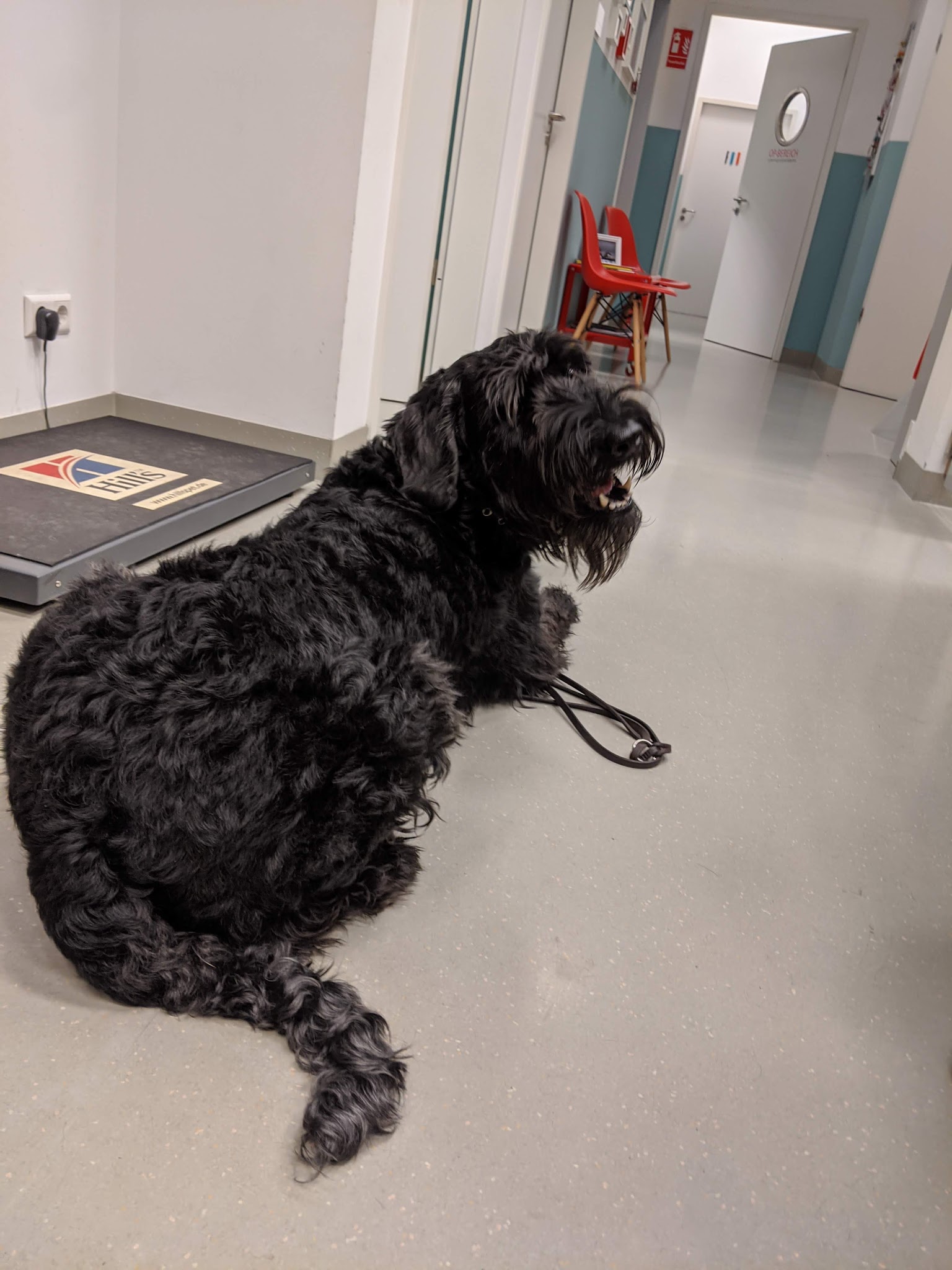 Tierarztpraxis Dr. Fenina + Burwieck