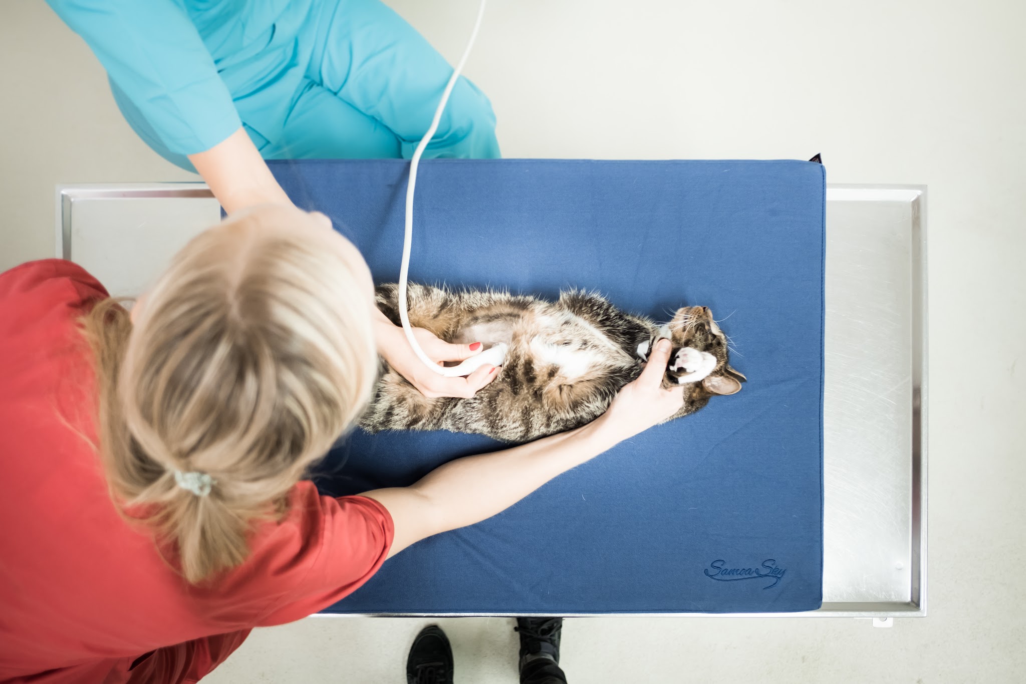 Tierarztpraxis Dr. Fenina + Burwieck