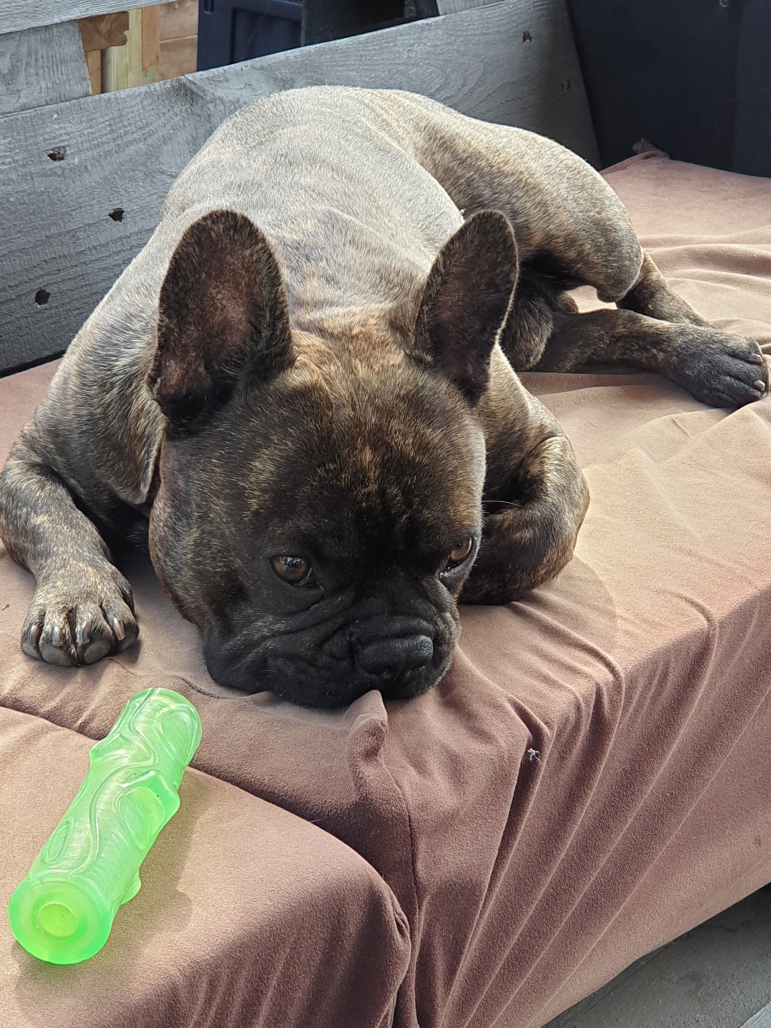 Tierarztpraxis Dr. König