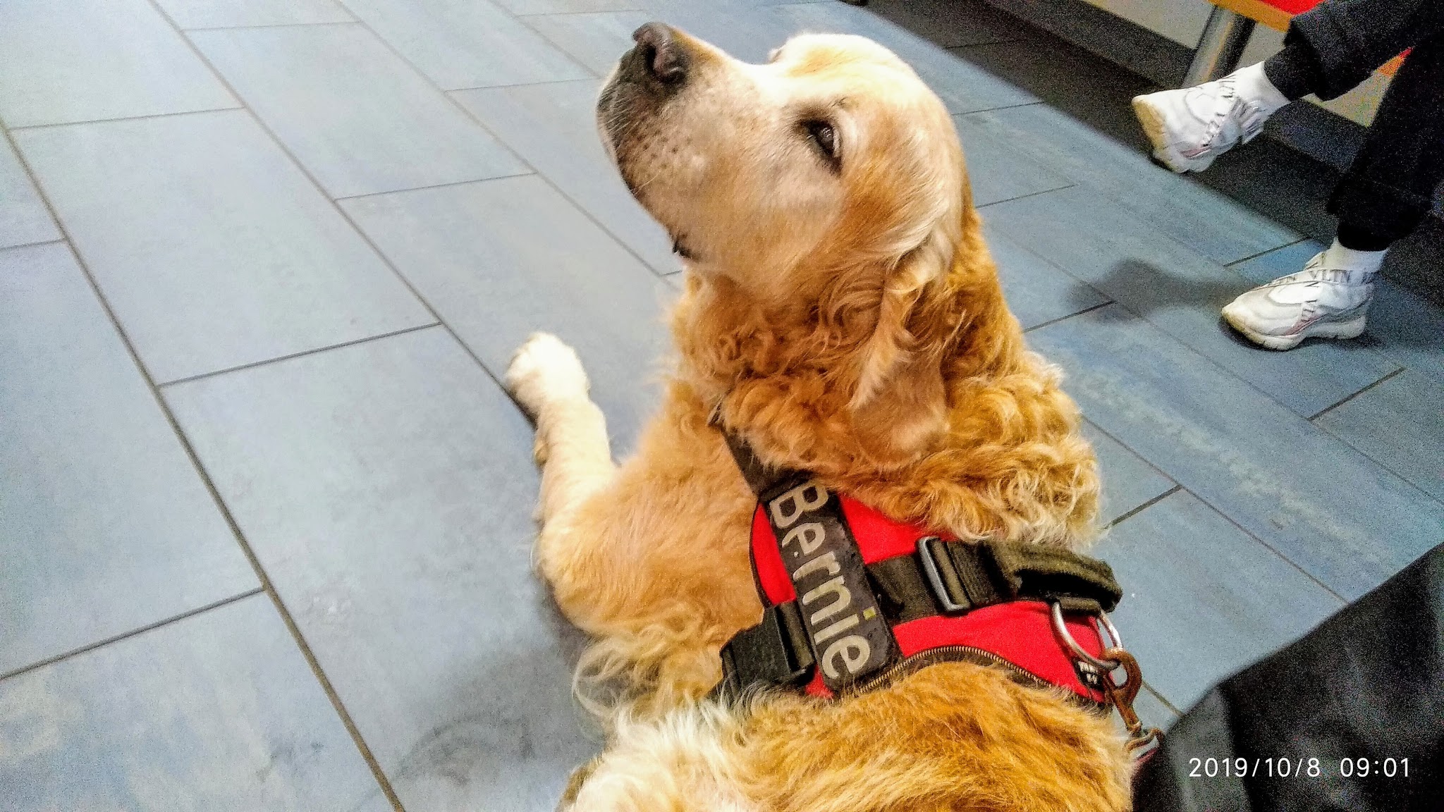 Tierarztpraxis Dr. König