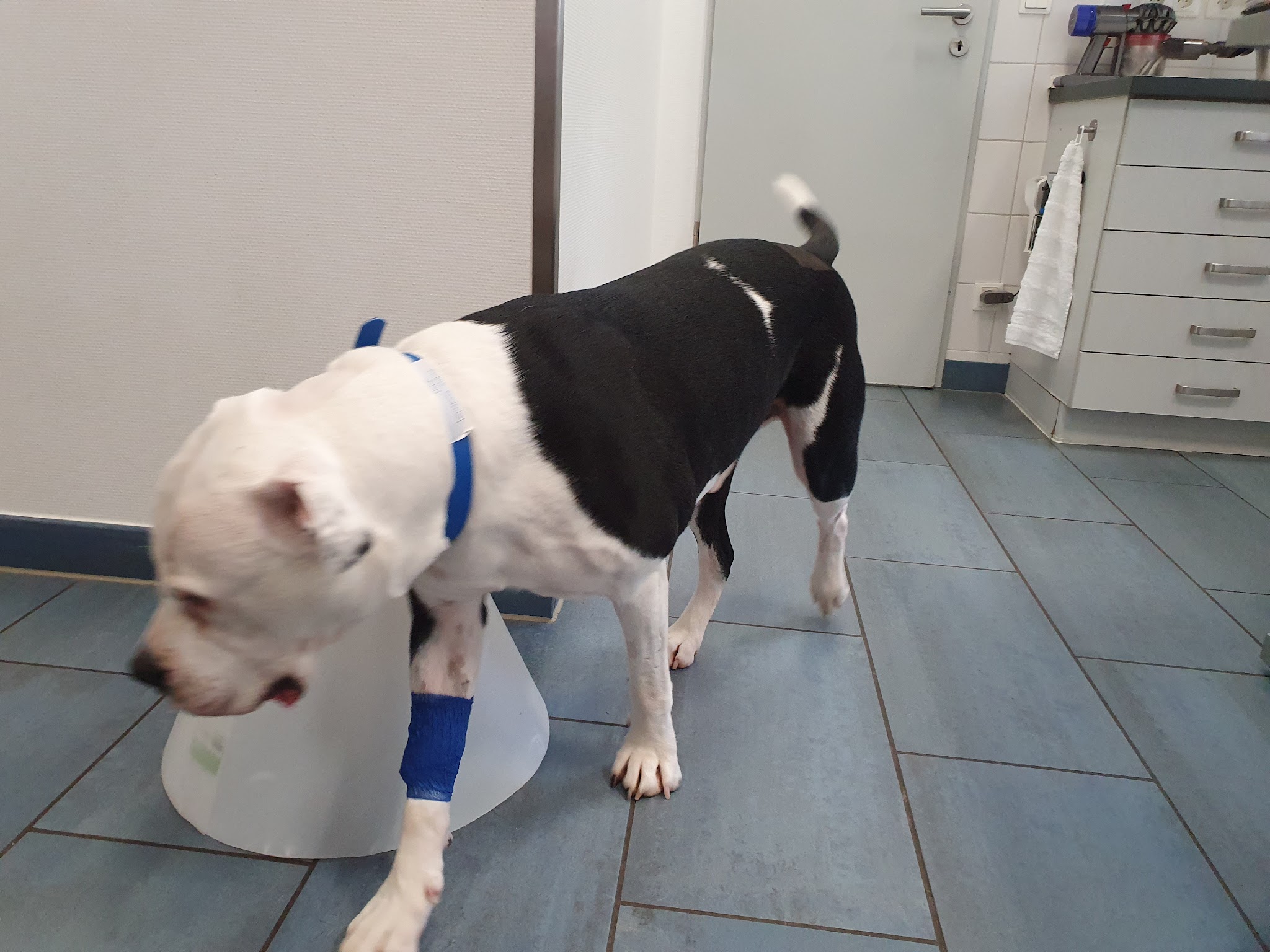 Tierarztpraxis Dr. König