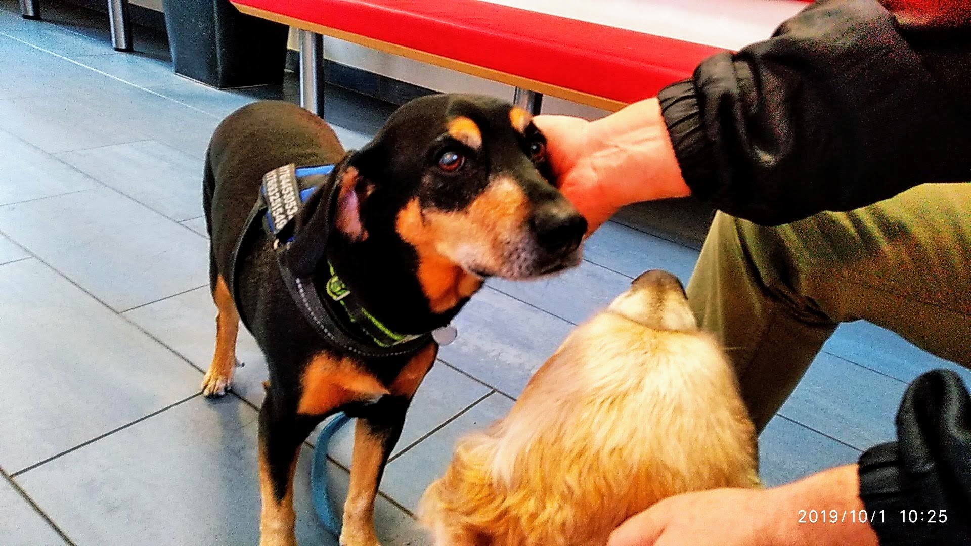 Tierarztpraxis Dr. König