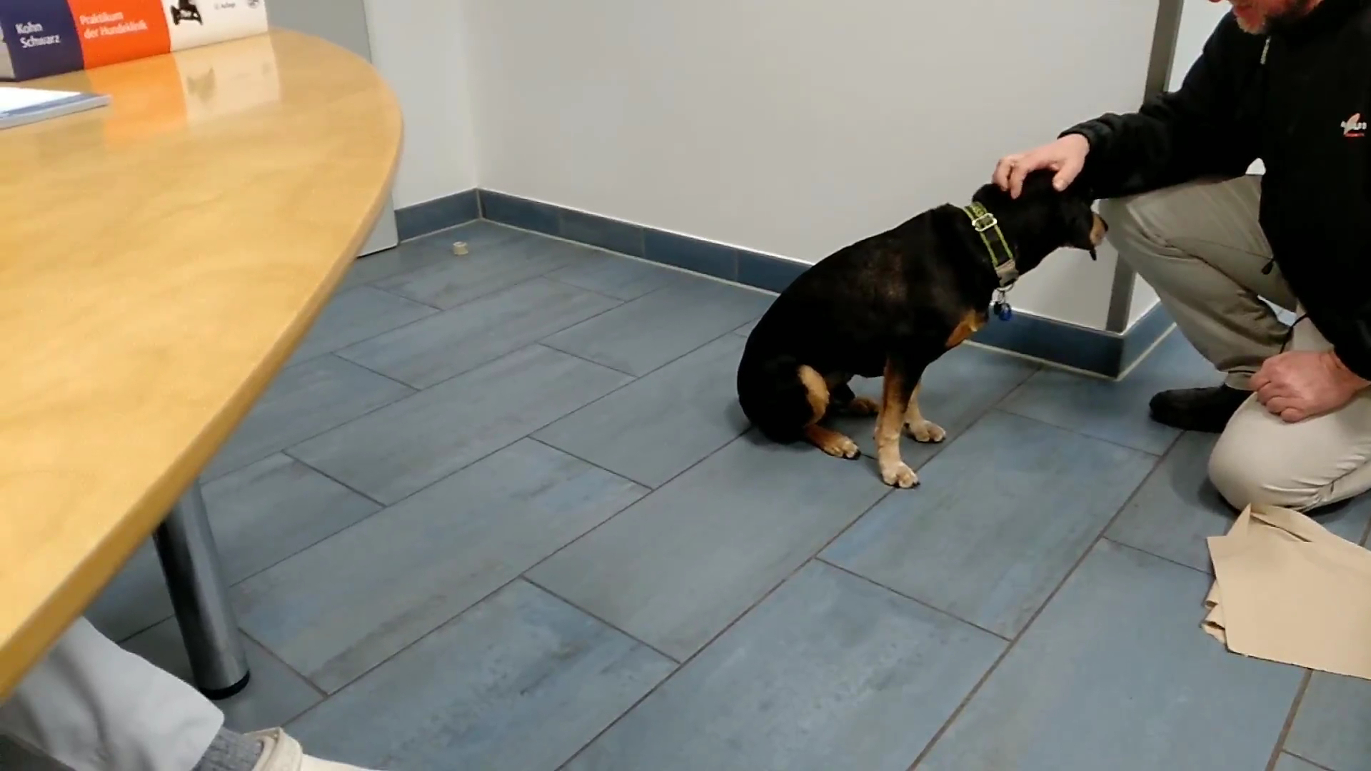 Tierarztpraxis Dr. König