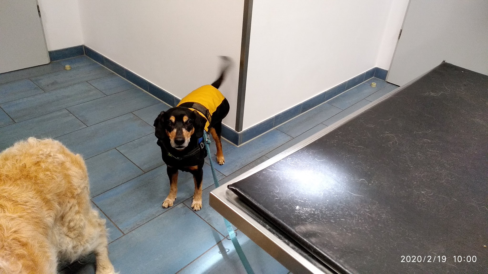 Tierarztpraxis Dr. König