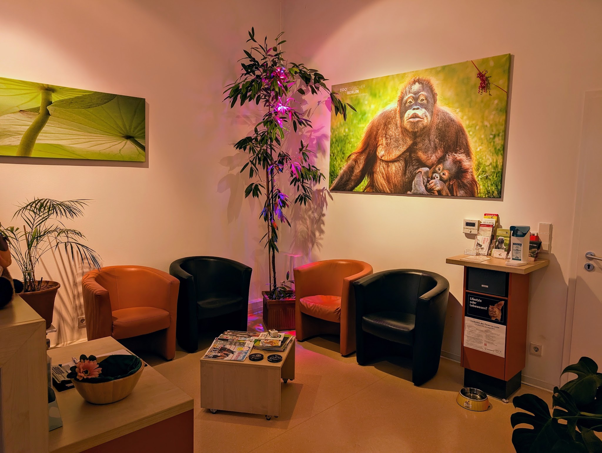 Tierarztpraxis Dr. Miriam Oczipka