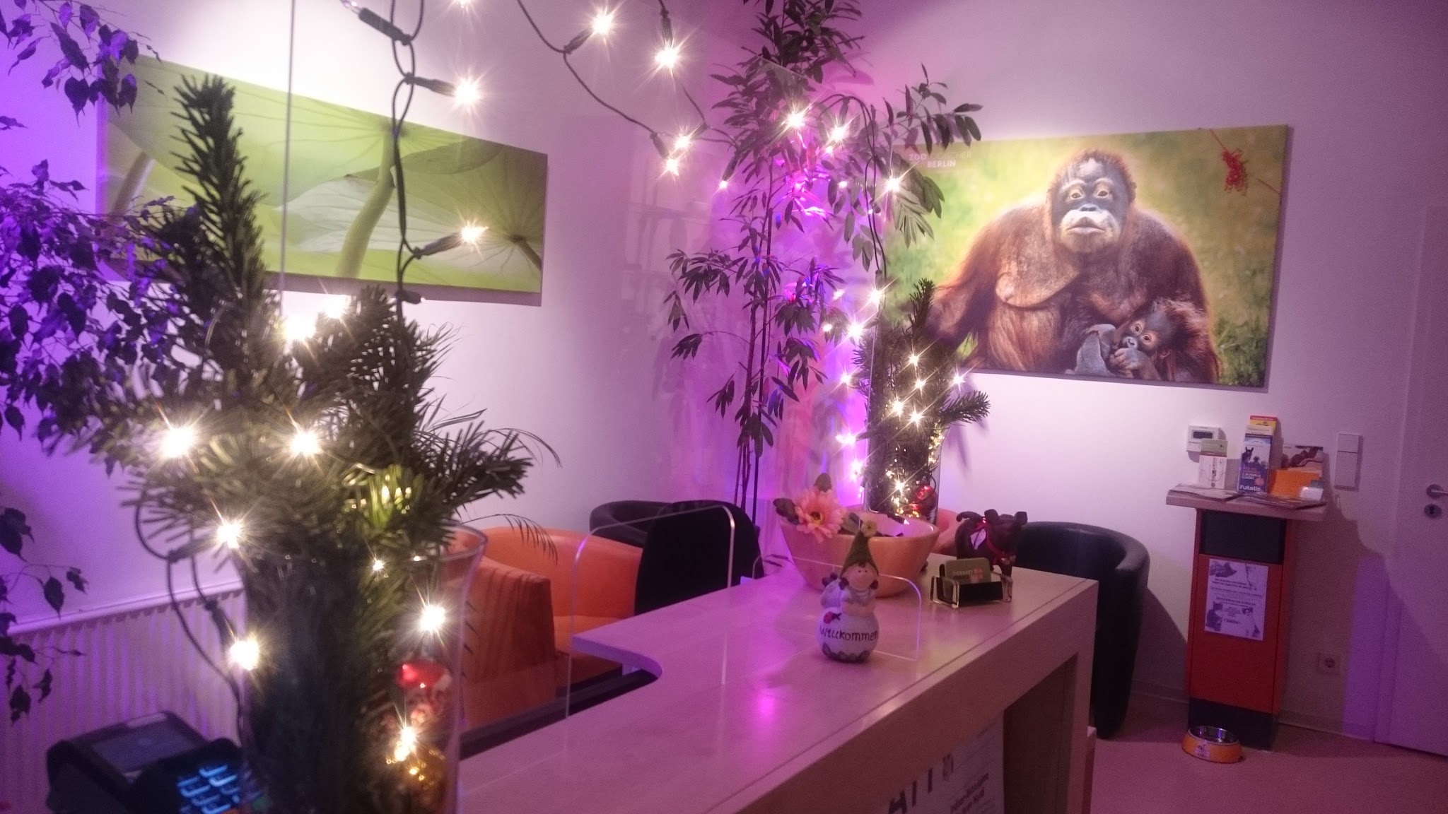 Tierarztpraxis Dr. Miriam Oczipka