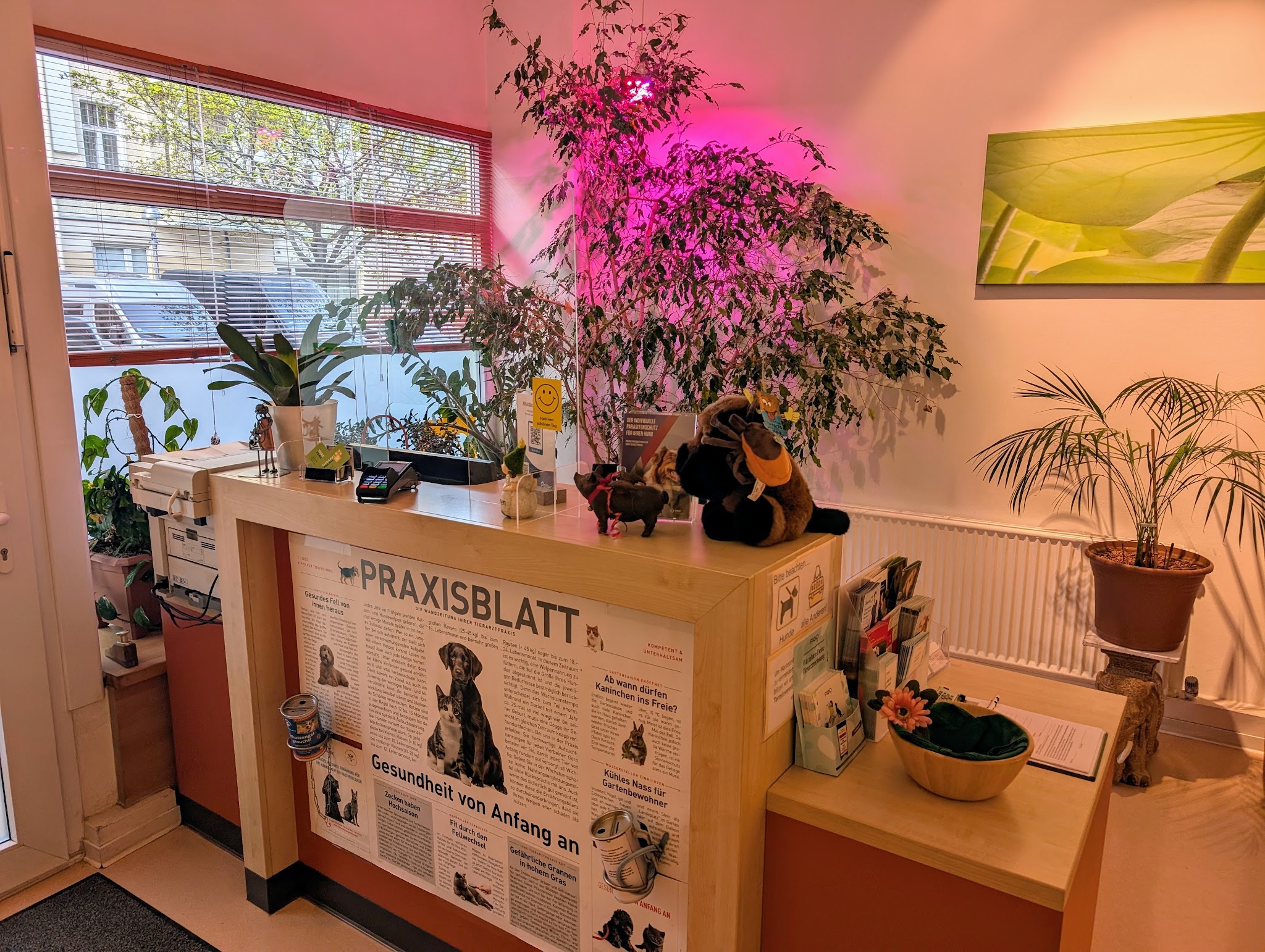 Tierarztpraxis Dr. Miriam Oczipka