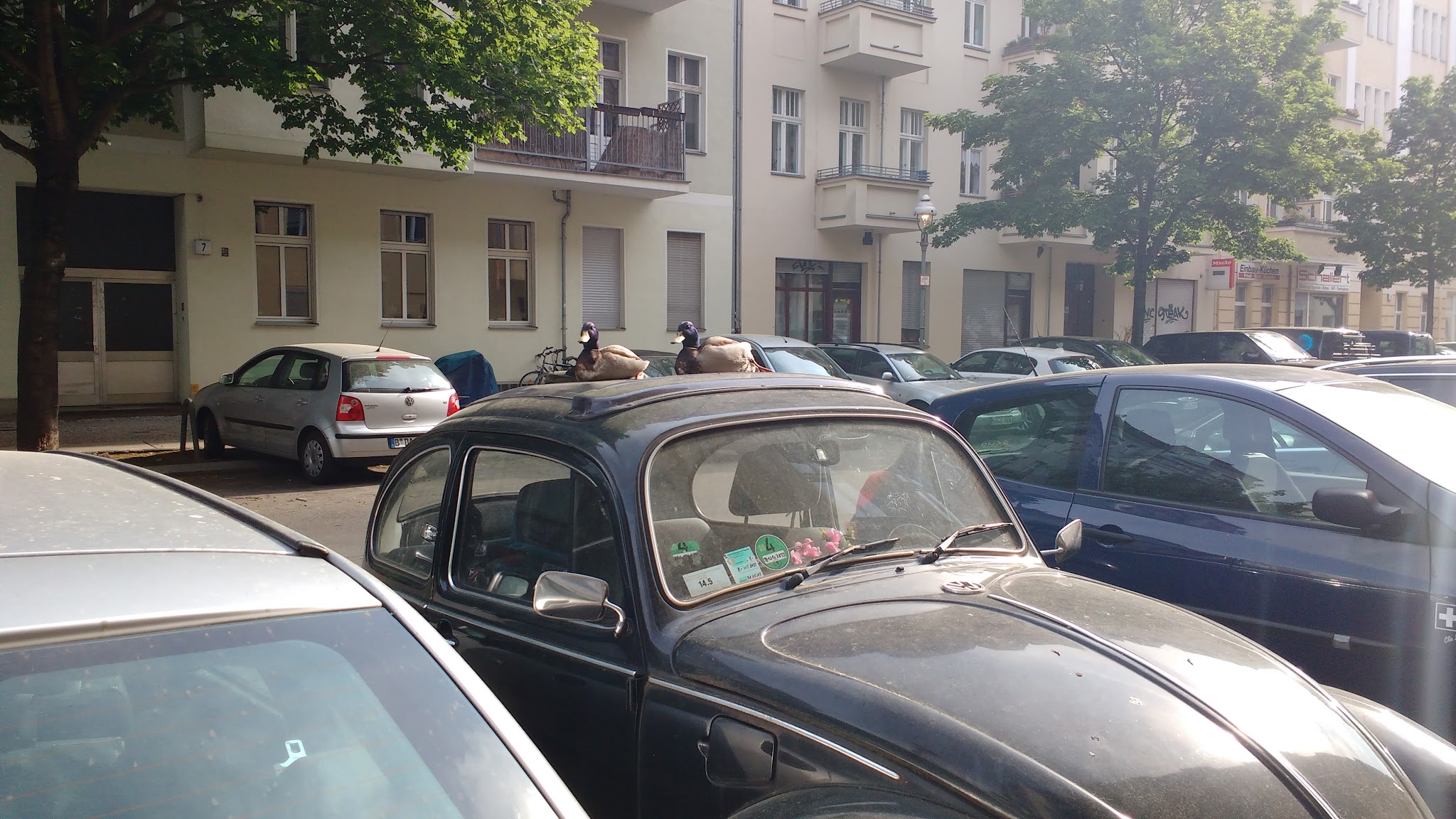 Tierarztpraxis Dr. Miriam Oczipka