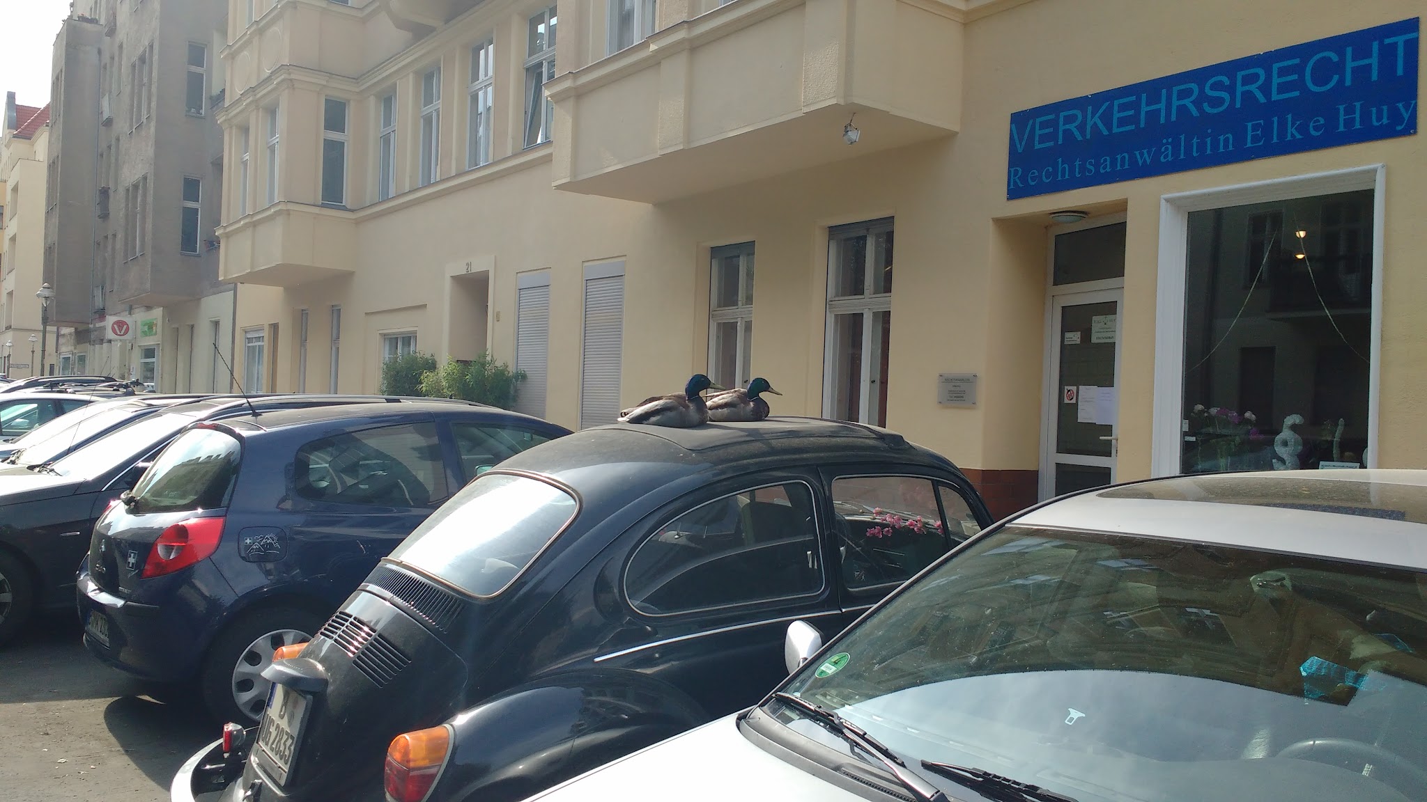 Tierarztpraxis Dr. Miriam Oczipka