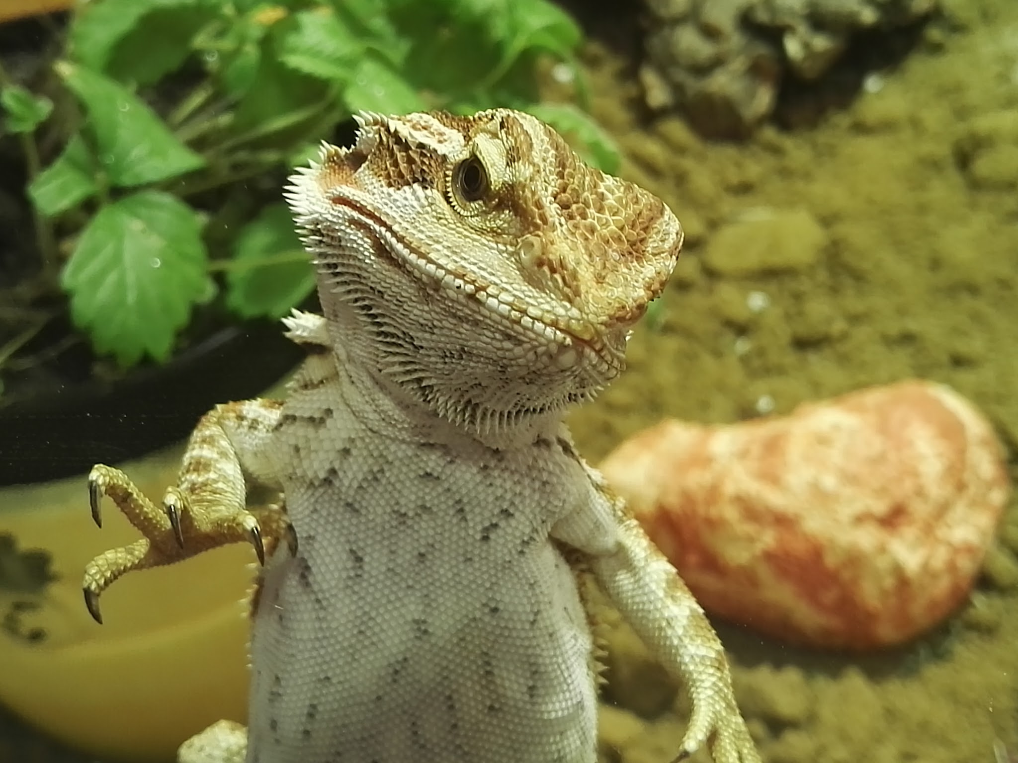 Tierarztpraxis Dr. Thomas Bauer - Reptilien & Fische