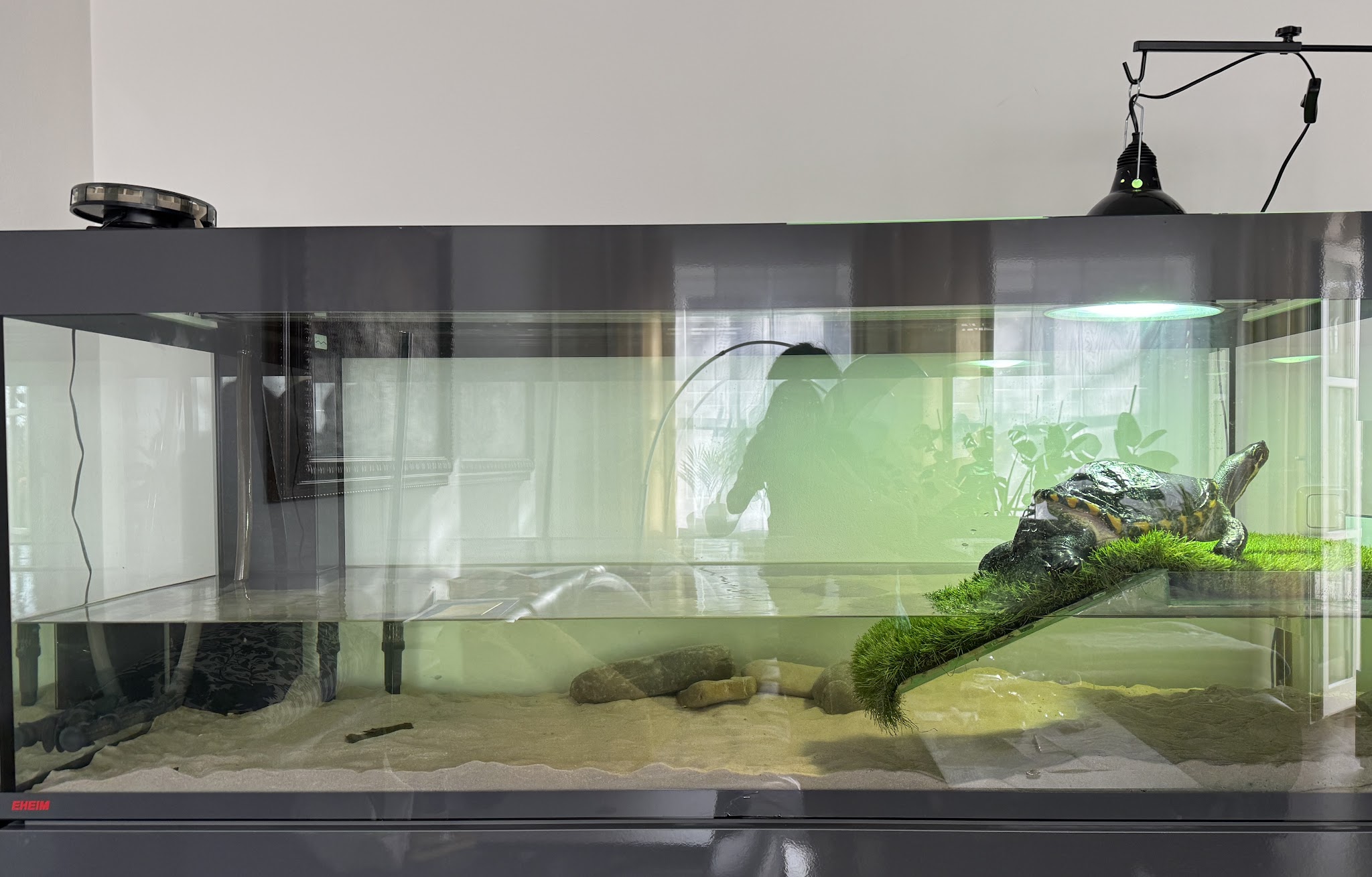 Tierarztpraxis Dr. Thomas Bauer - Reptilien & Fische