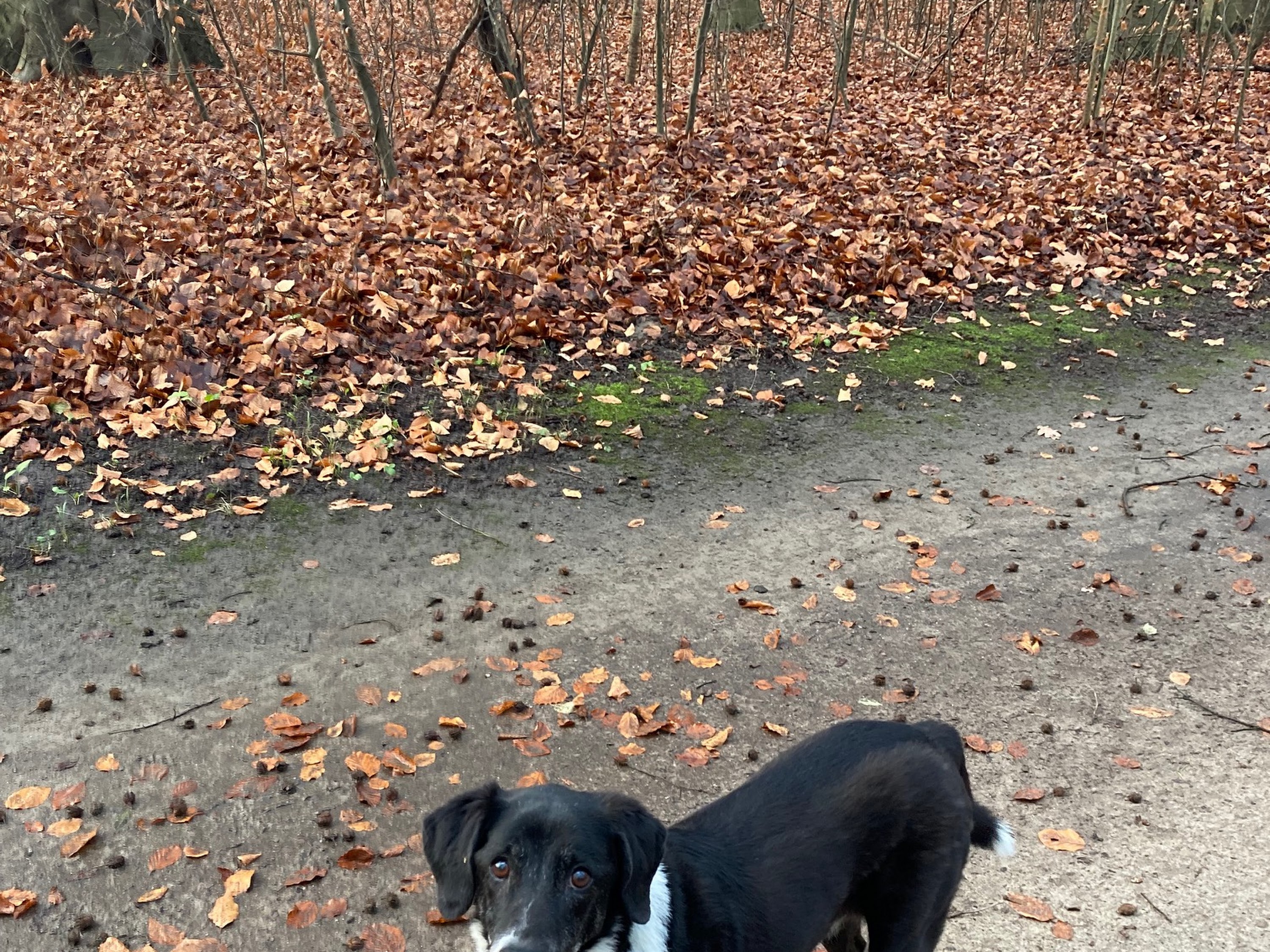 Tierarztpraxis Fell und Feder