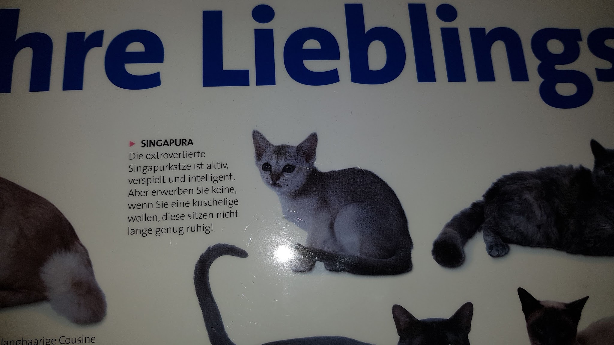 Tierarztpraxis Sendling