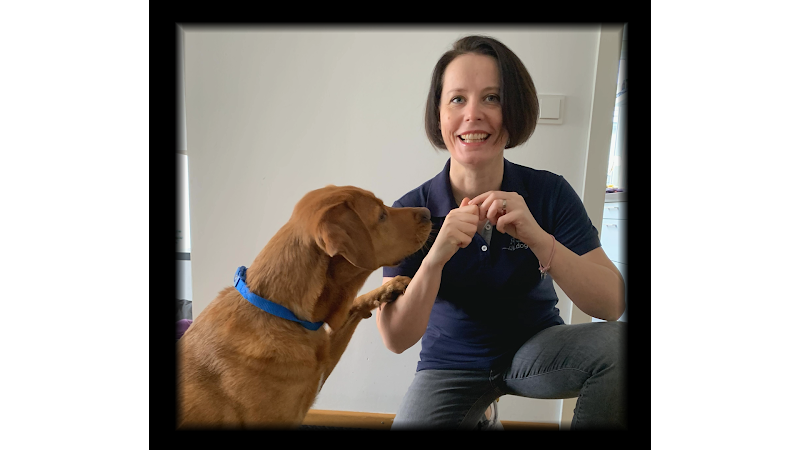 dogMED Tierheilpraxis & Physiotherapie & Ernährungsberatung