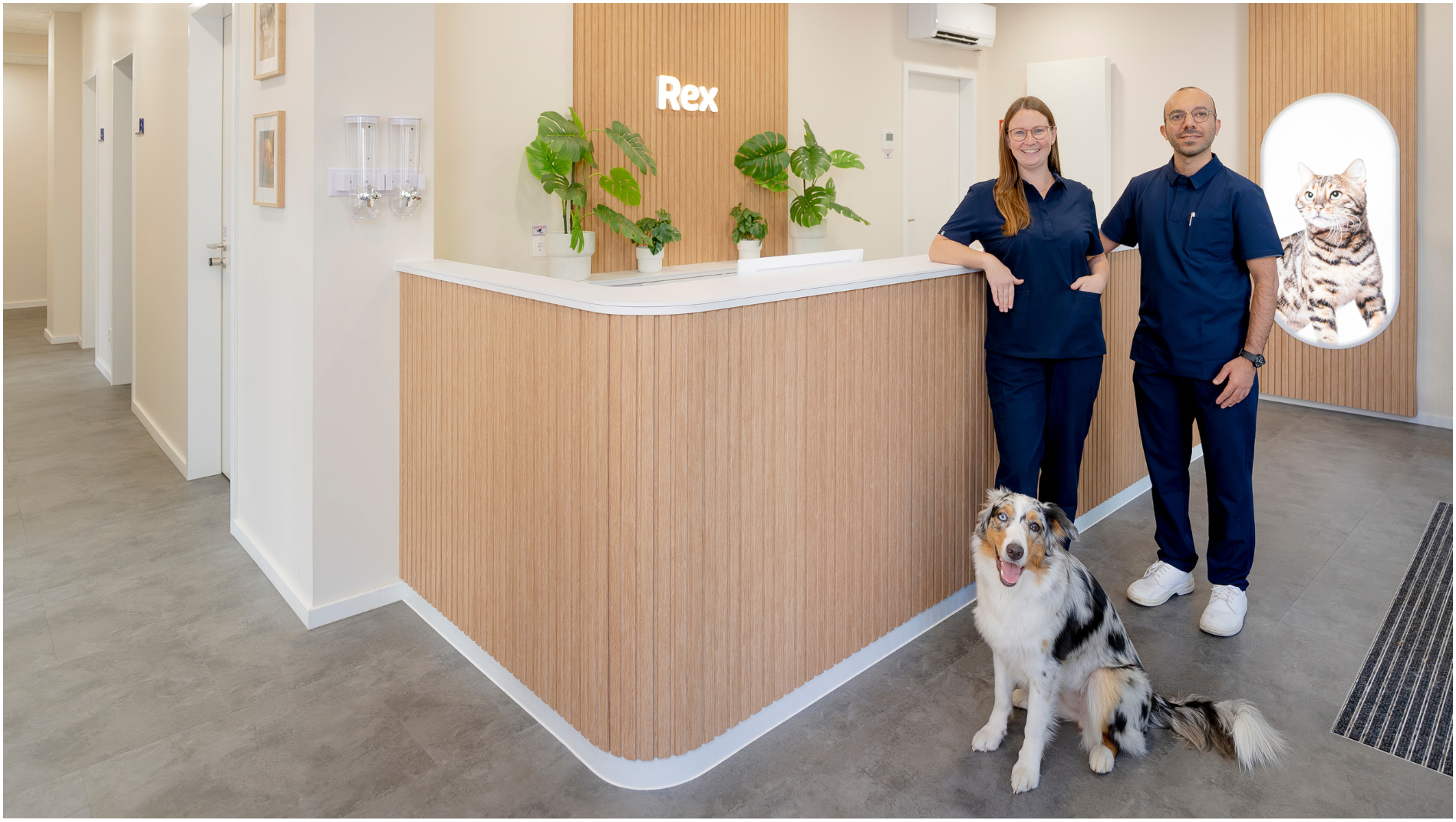 Rex Tierarztpraxis Köln-Innenstadt