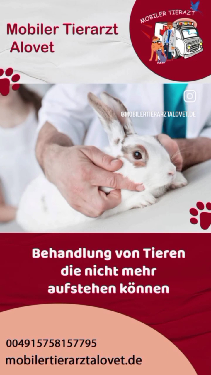 Alovet Tierarztpraxis und Mobiler Notdienst Stuttgart
