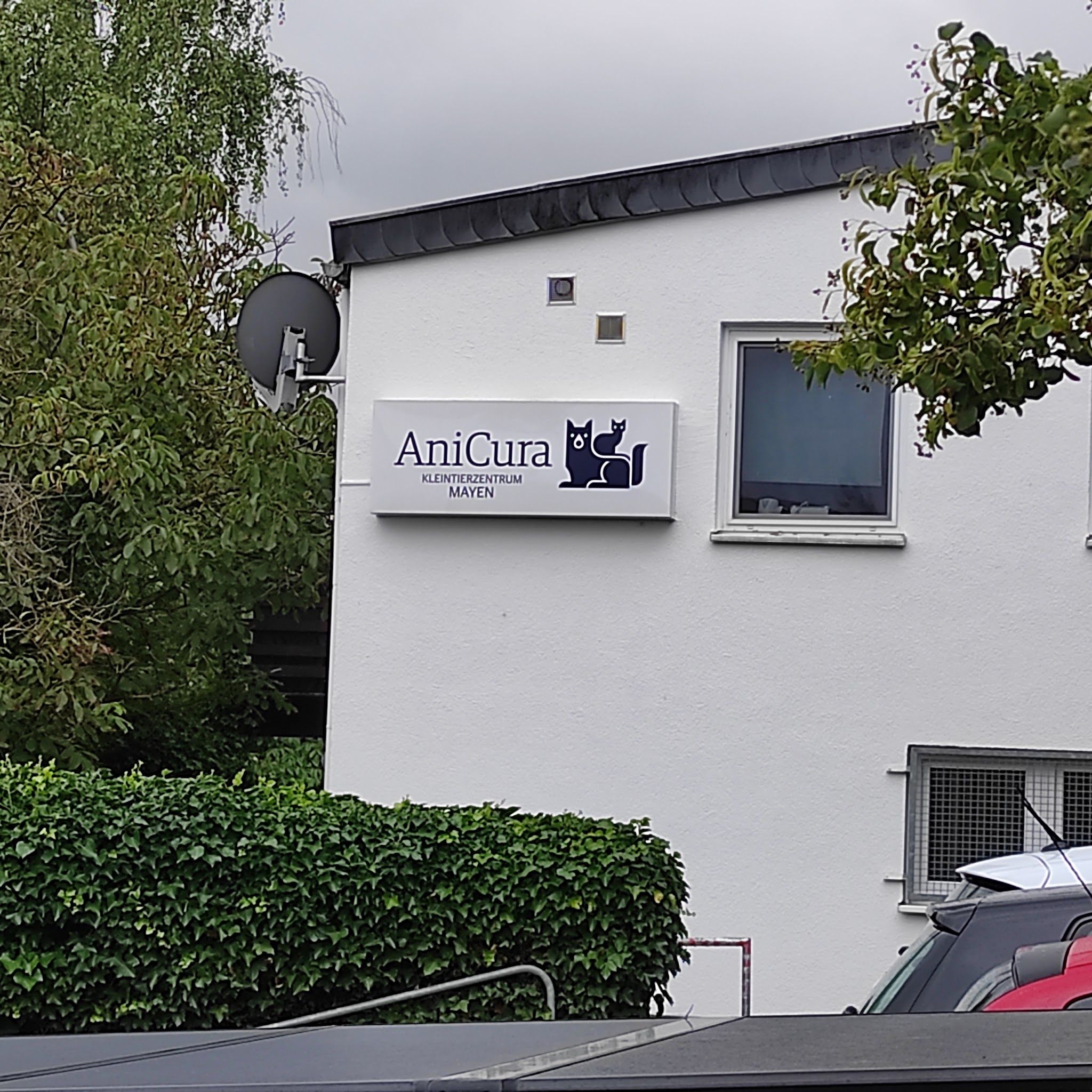 AniCura Kleintierzentrum Mayen – Bild